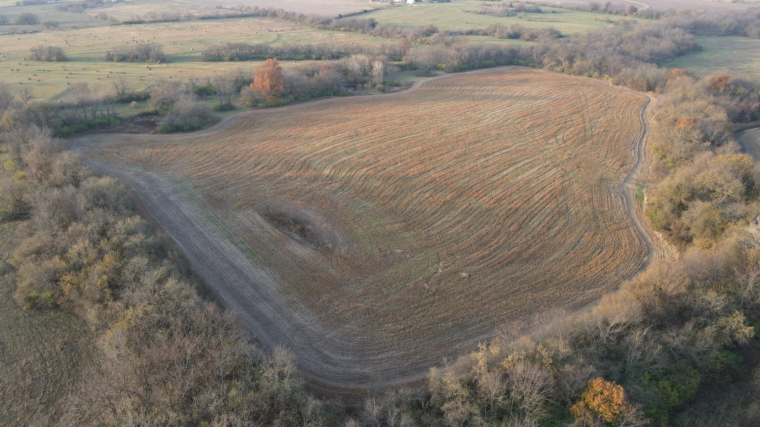 Photo 25 - Land for sale – 710 SE State Hwy Pp   Leeton, MO