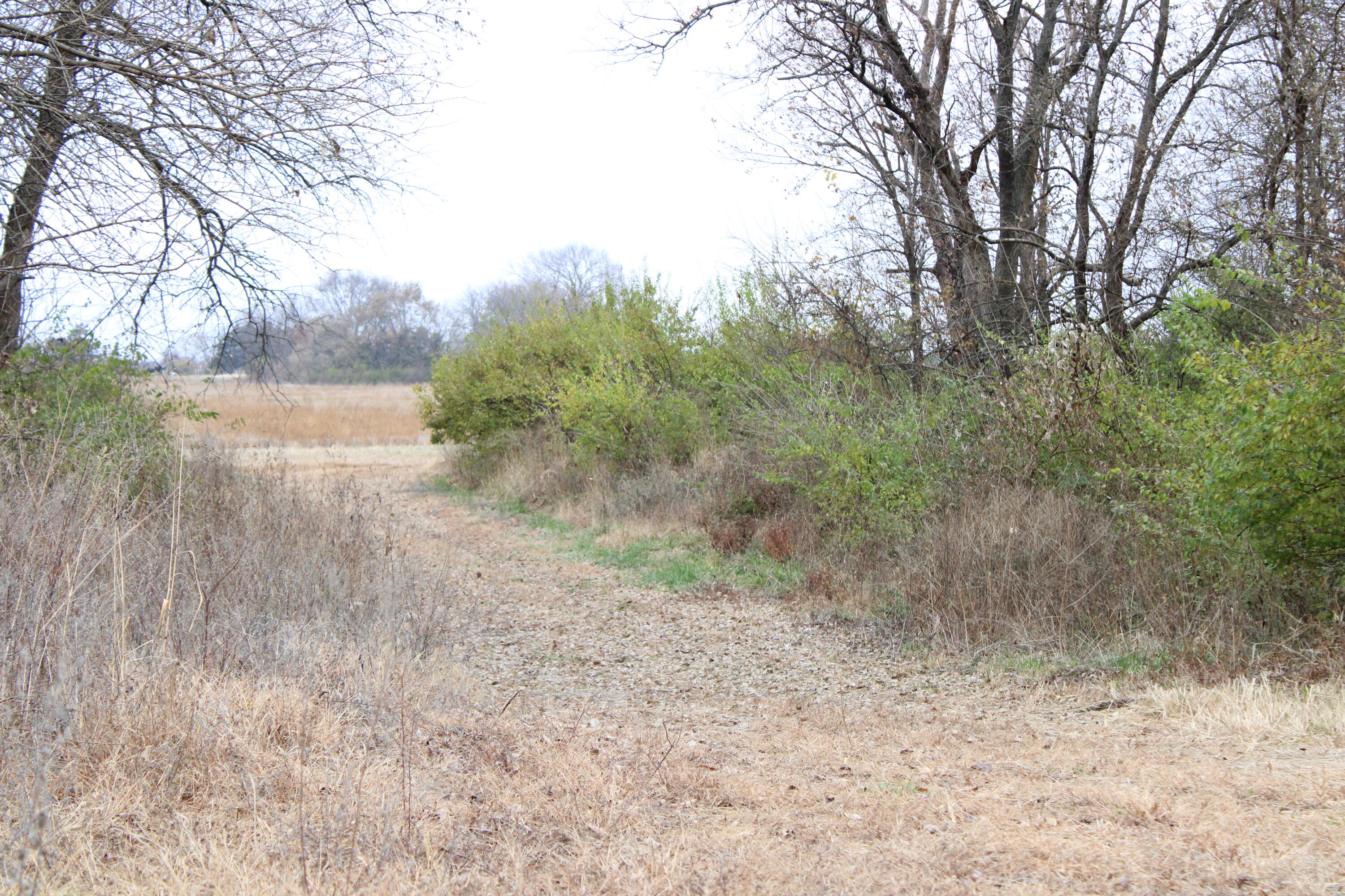 Photo 23 - Land for sale – 710 SE State Hwy Pp   Leeton, MO