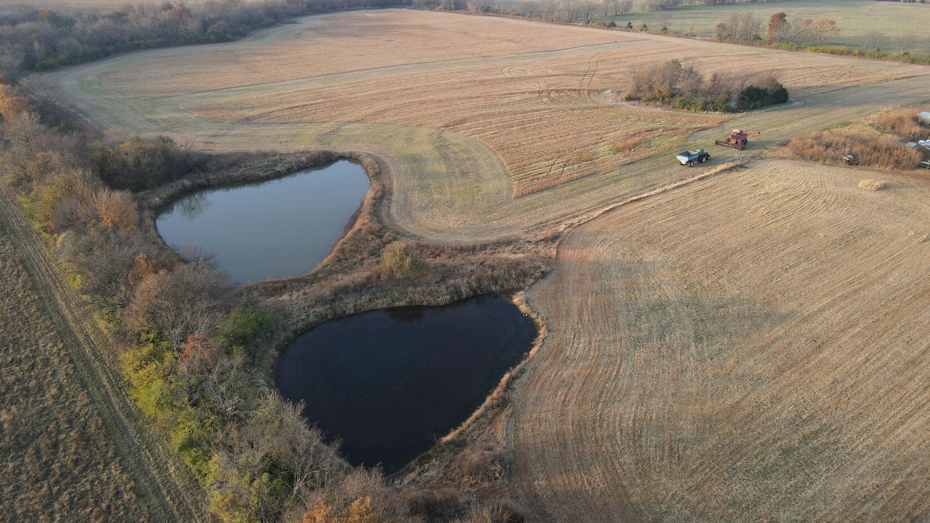 Photo 9 - Land for sale – 710 SE State Hwy Pp   Leeton, MO