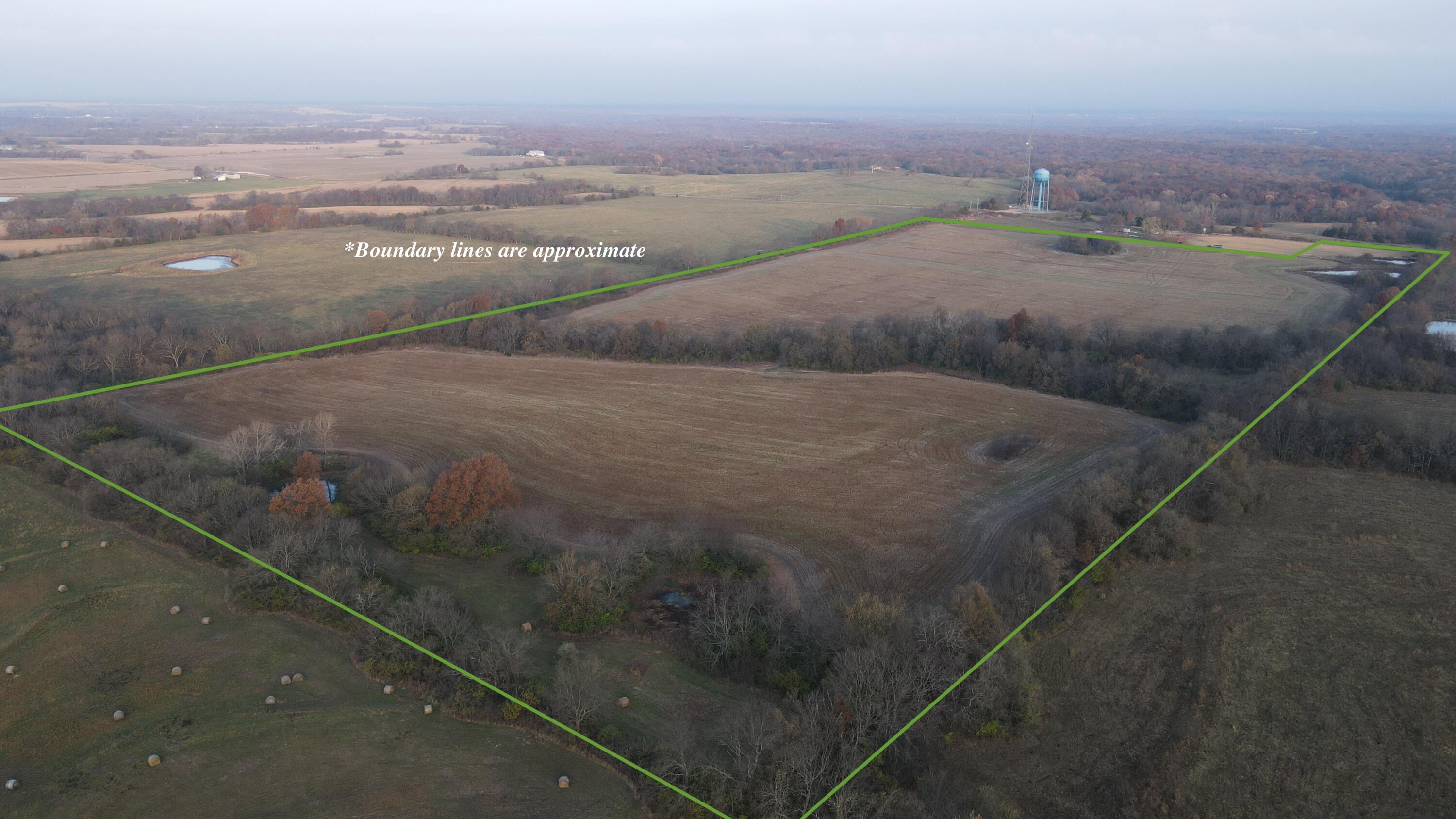 Photo 7 - Land for sale – 710 SE State Hwy Pp   Leeton, MO