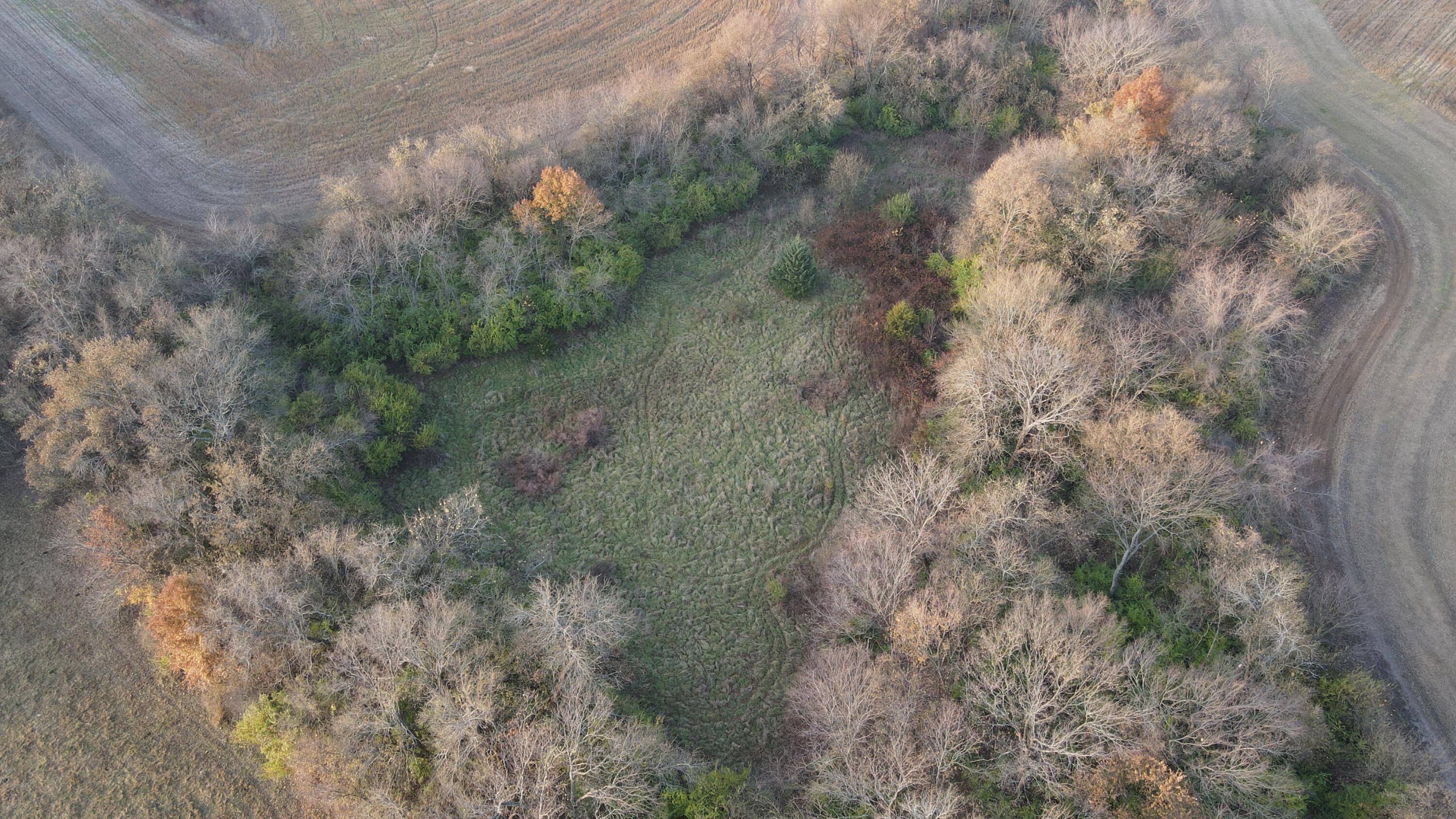 Photo 17 - Land for sale – 710 SE State Hwy Pp   Leeton, MO