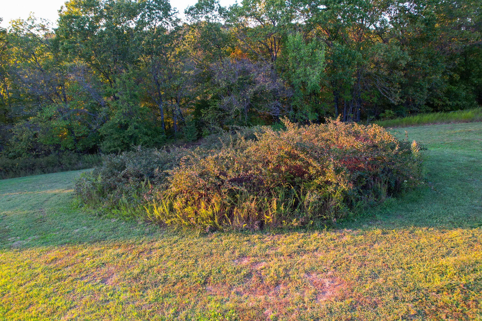 Photo 19 - Farm for sale – 174  Last Resort Road  Galena, MO