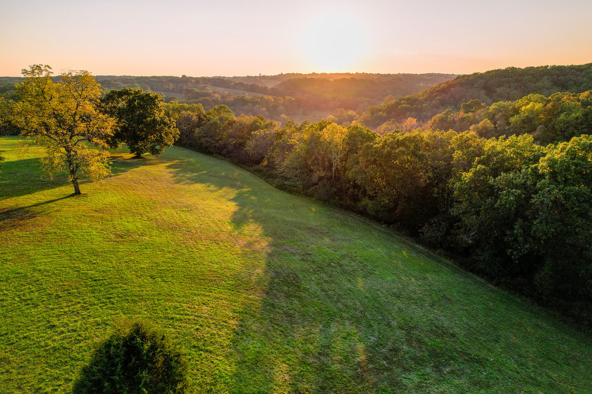 Photo 20 - Farm for sale – 174  Last Resort Road  Galena, MO