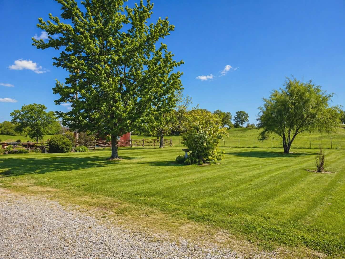 Photo 18 - Residential for sale – 19071  Highway 32   Licking, MO