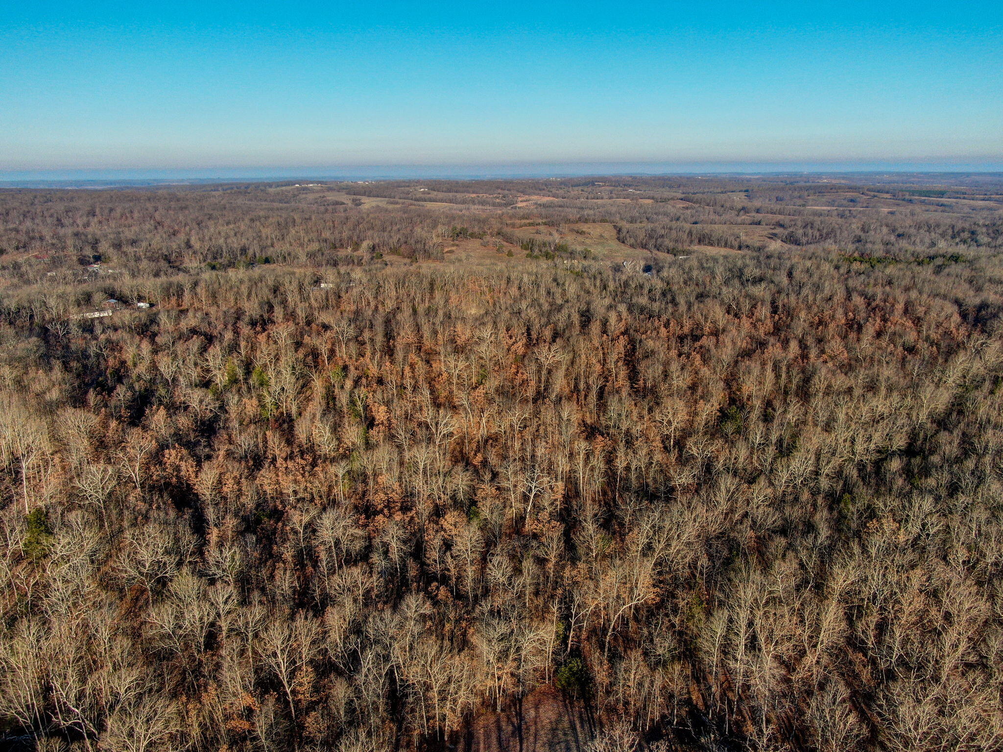 Photo 15 - Land for sale – Tbd  Gravel Point Road  Mountain Grove, MO