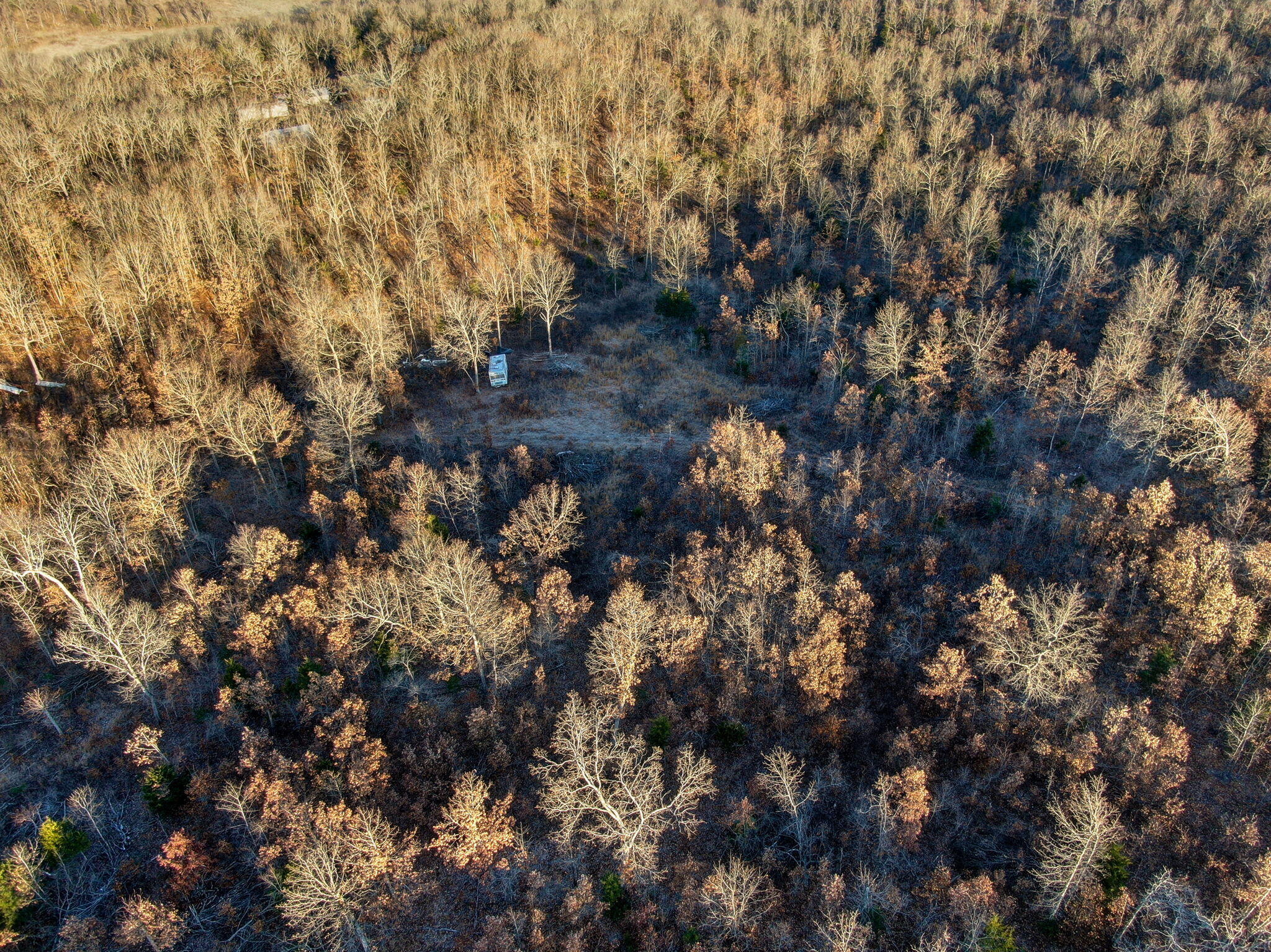 Photo 16 - Land for sale – Tbd  Gravel Point Road  Mountain Grove, MO