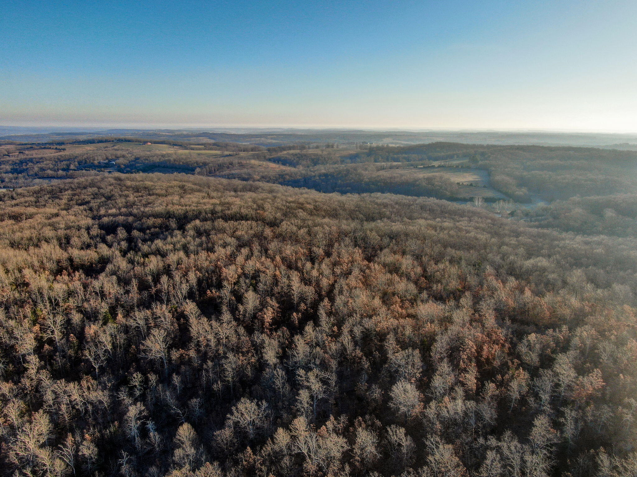 Photo 14 - Land for sale – Tbd  Gravel Point Road  Mountain Grove, MO