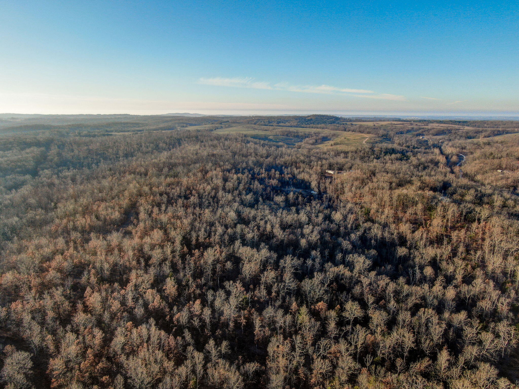 Photo 13 - Land for sale – Tbd  Gravel Point Road  Mountain Grove, MO