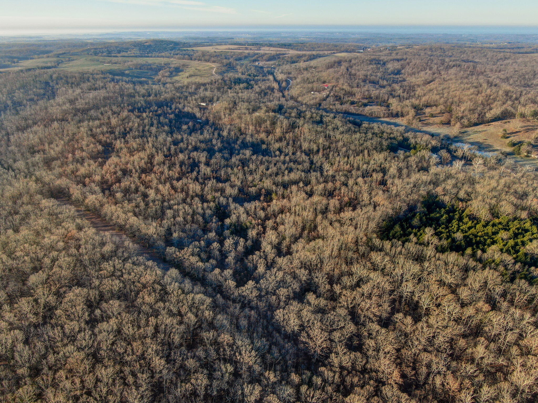 Photo 11 - Land for sale – Tbd  Gravel Point Road  Mountain Grove, MO