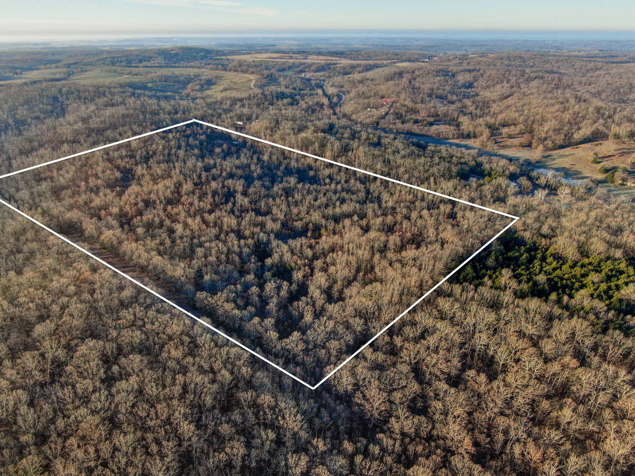 Photo 10 - Land for sale – Tbd  Gravel Point Road  Mountain Grove, MO