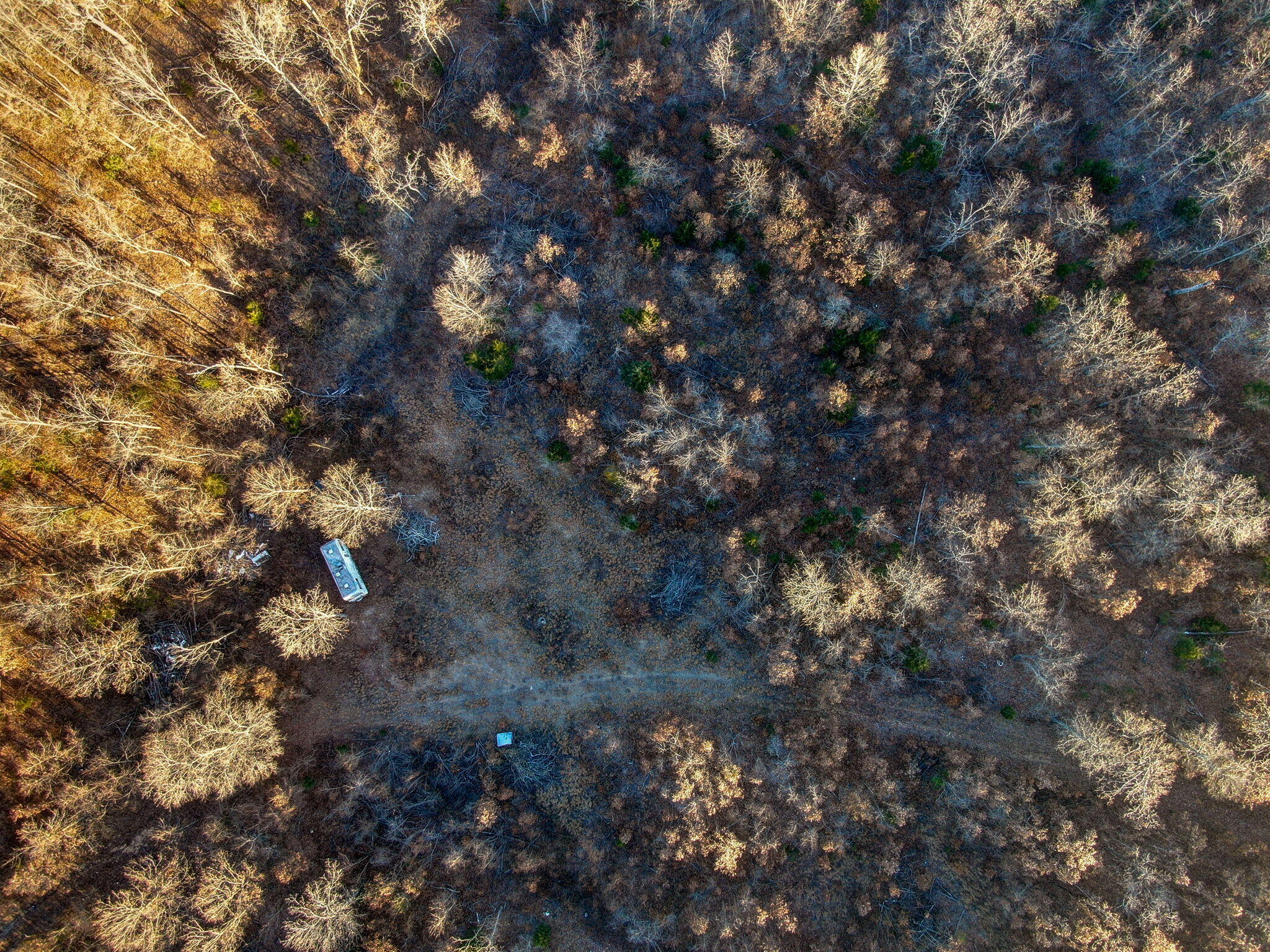 Photo 18 - Land for sale – Tbd  Gravel Point Road  Mountain Grove, MO
