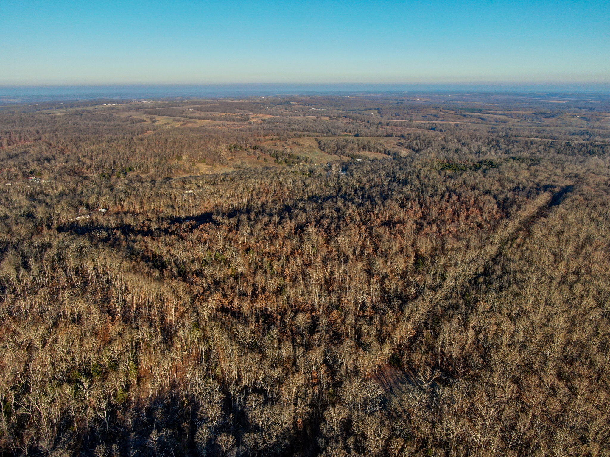 Photo 7 - Land for sale – Tbd  Gravel Point Road  Mountain Grove, MO