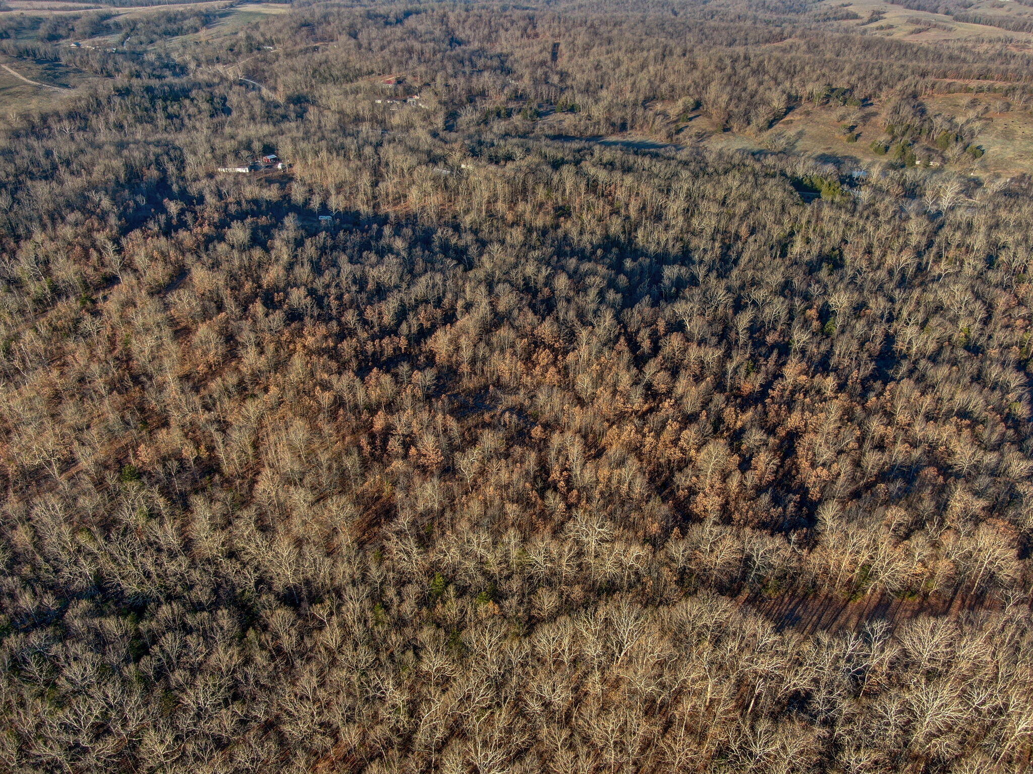 Photo 8 - Land for sale – Tbd  Gravel Point Road  Mountain Grove, MO