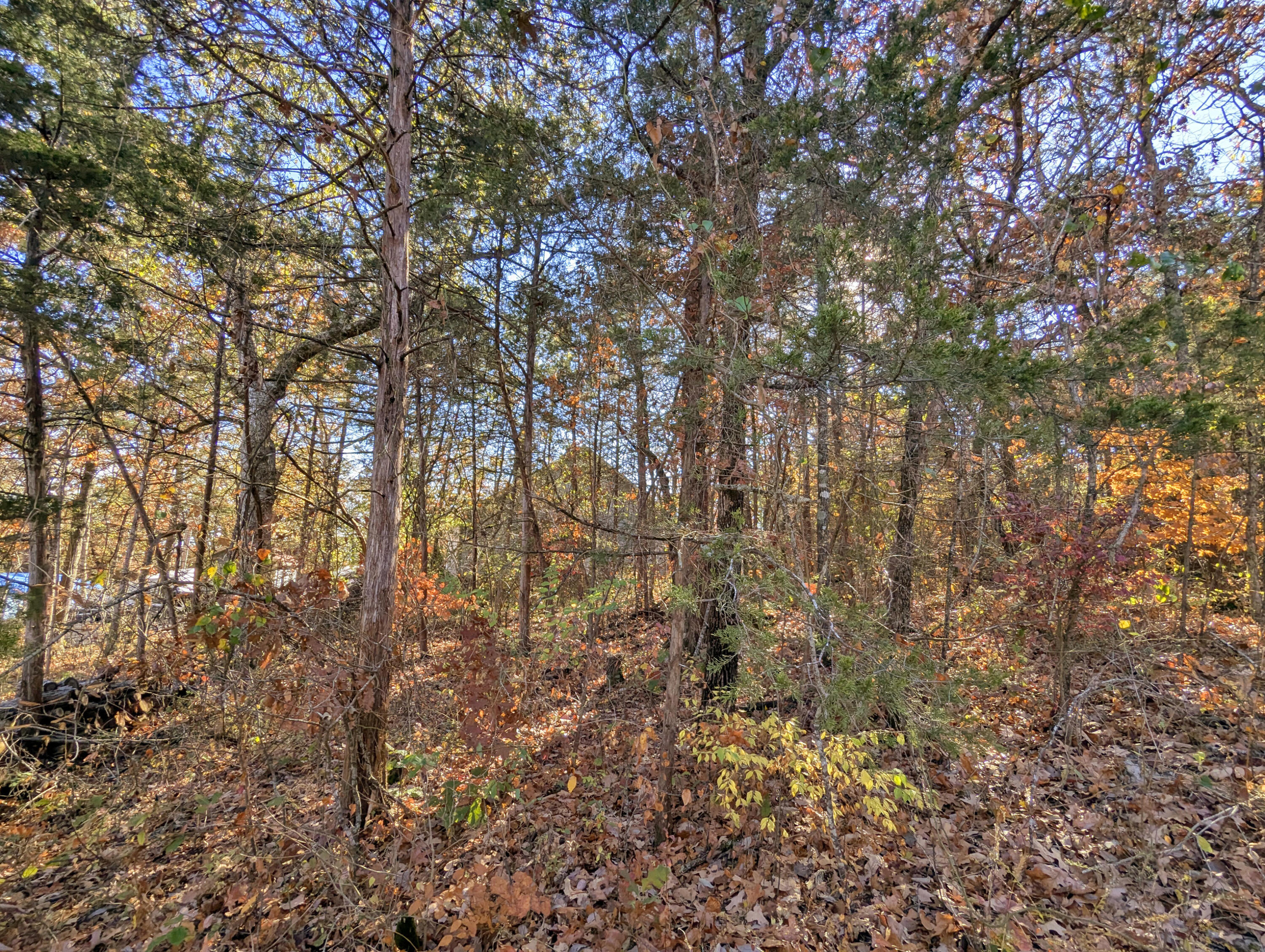 Photo 3 - Land for sale – Lot 69&70  Bluebird Road  Merriam Woods, MO