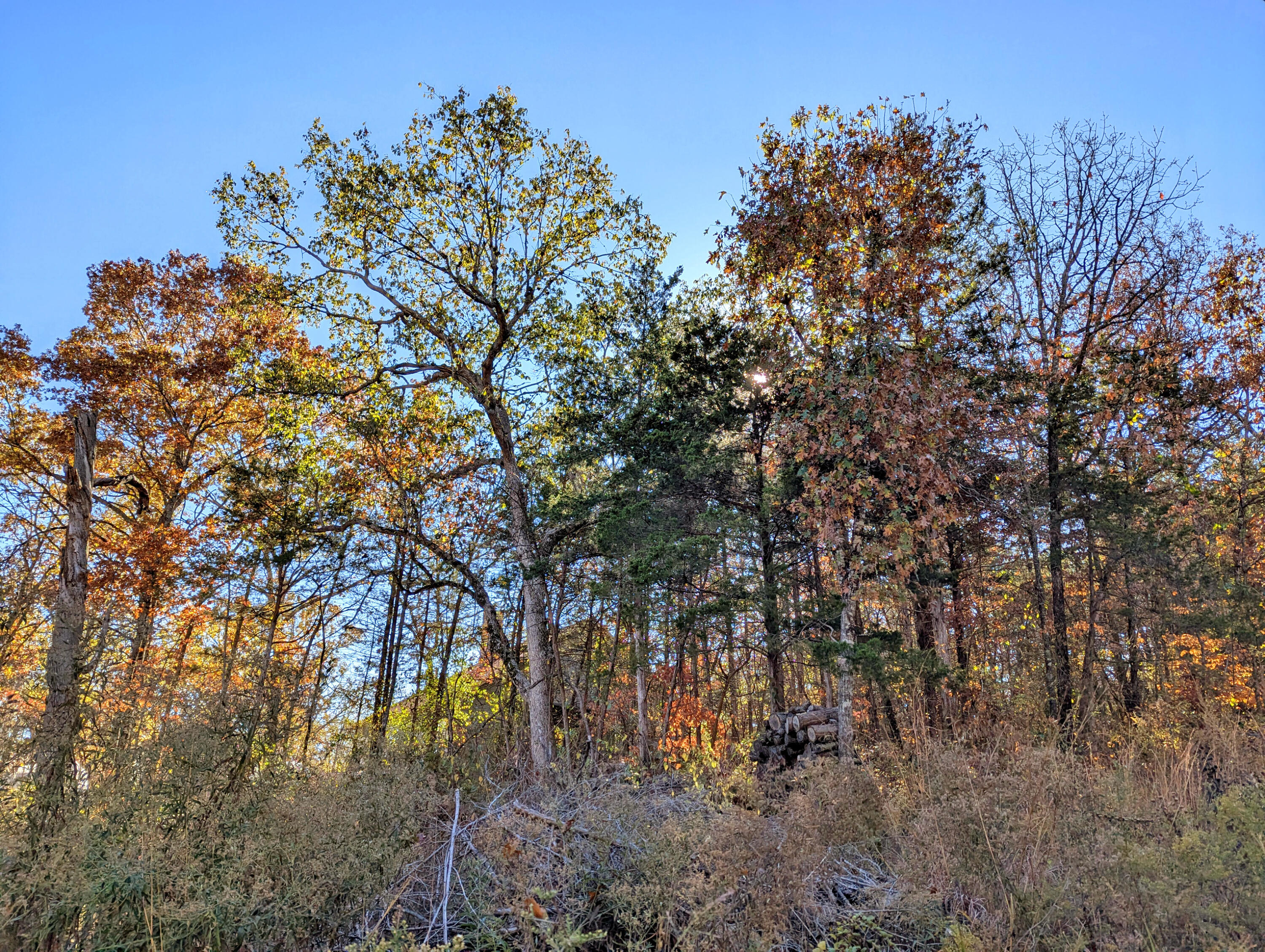 Photo 2 - Land for sale – Lot 69&70  Bluebird Road  Merriam Woods, MO