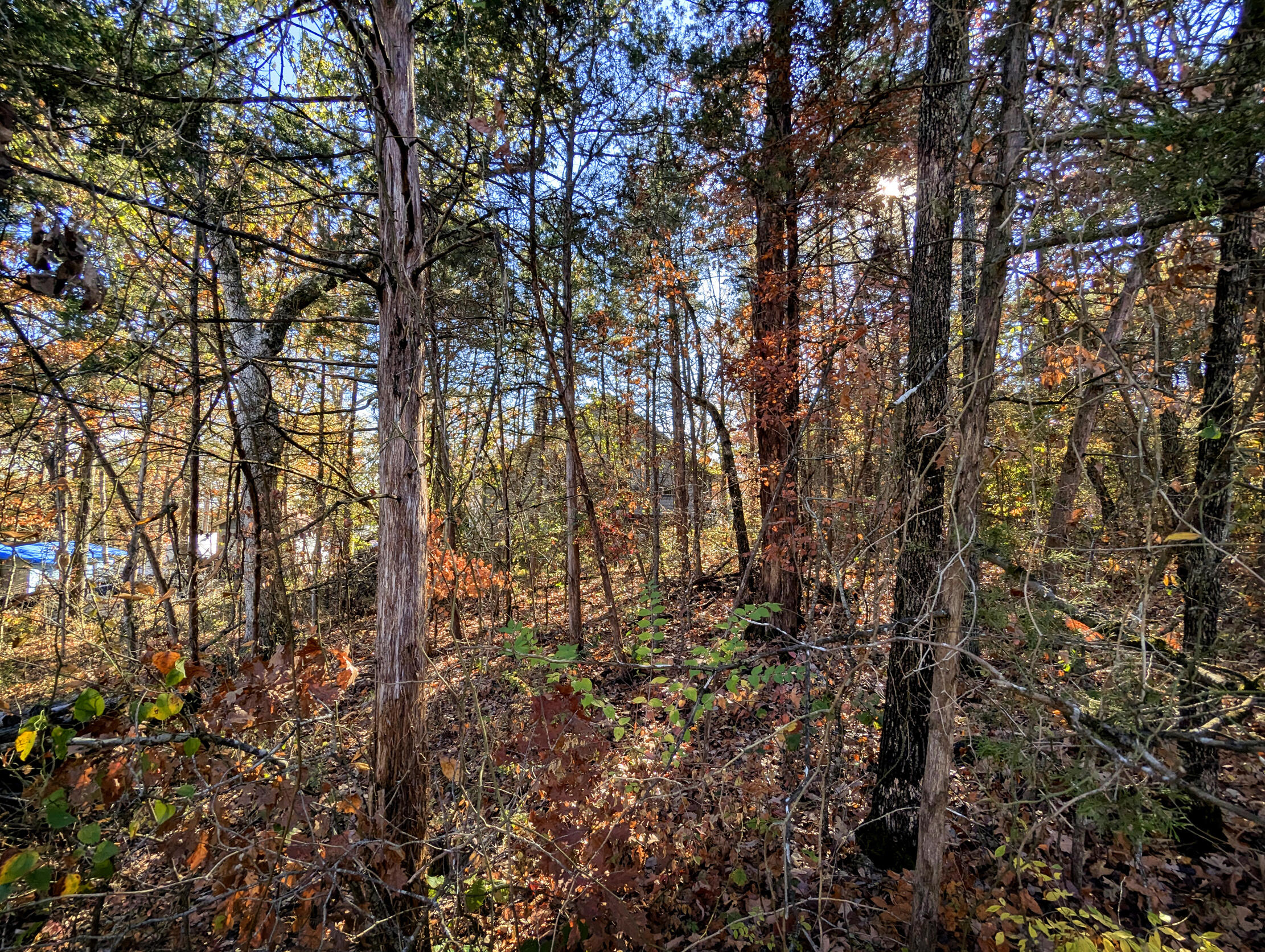 Land for sale – Lot 69&70  Bluebird Road  Merriam Woods, MO