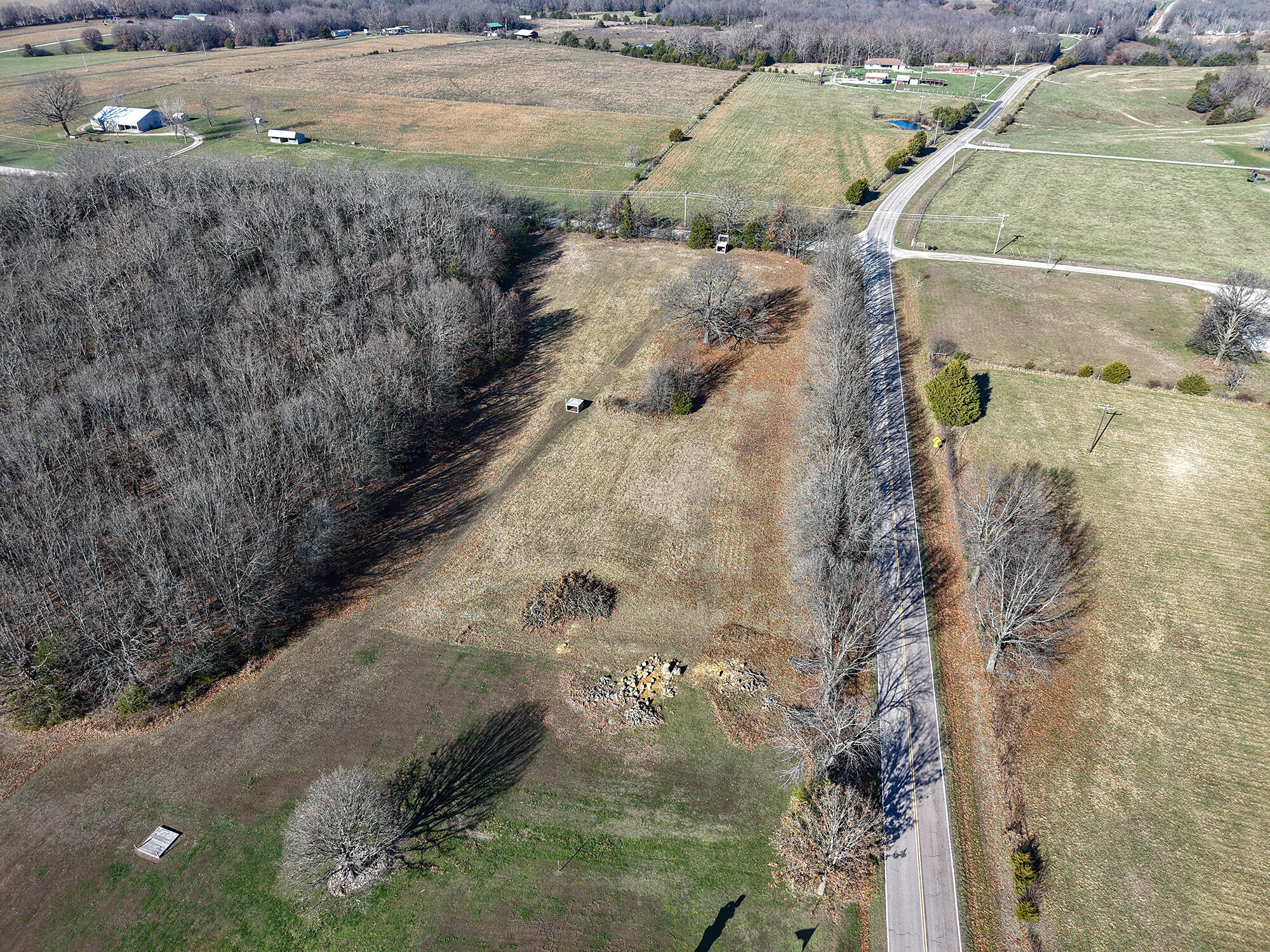 Photo 8 - Land for sale – 000  State Highway Ff   Fordland, MO