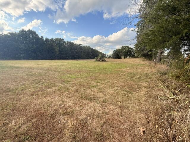 Photo 5 - Land for sale – 000  State Highway Ff   Fordland, MO