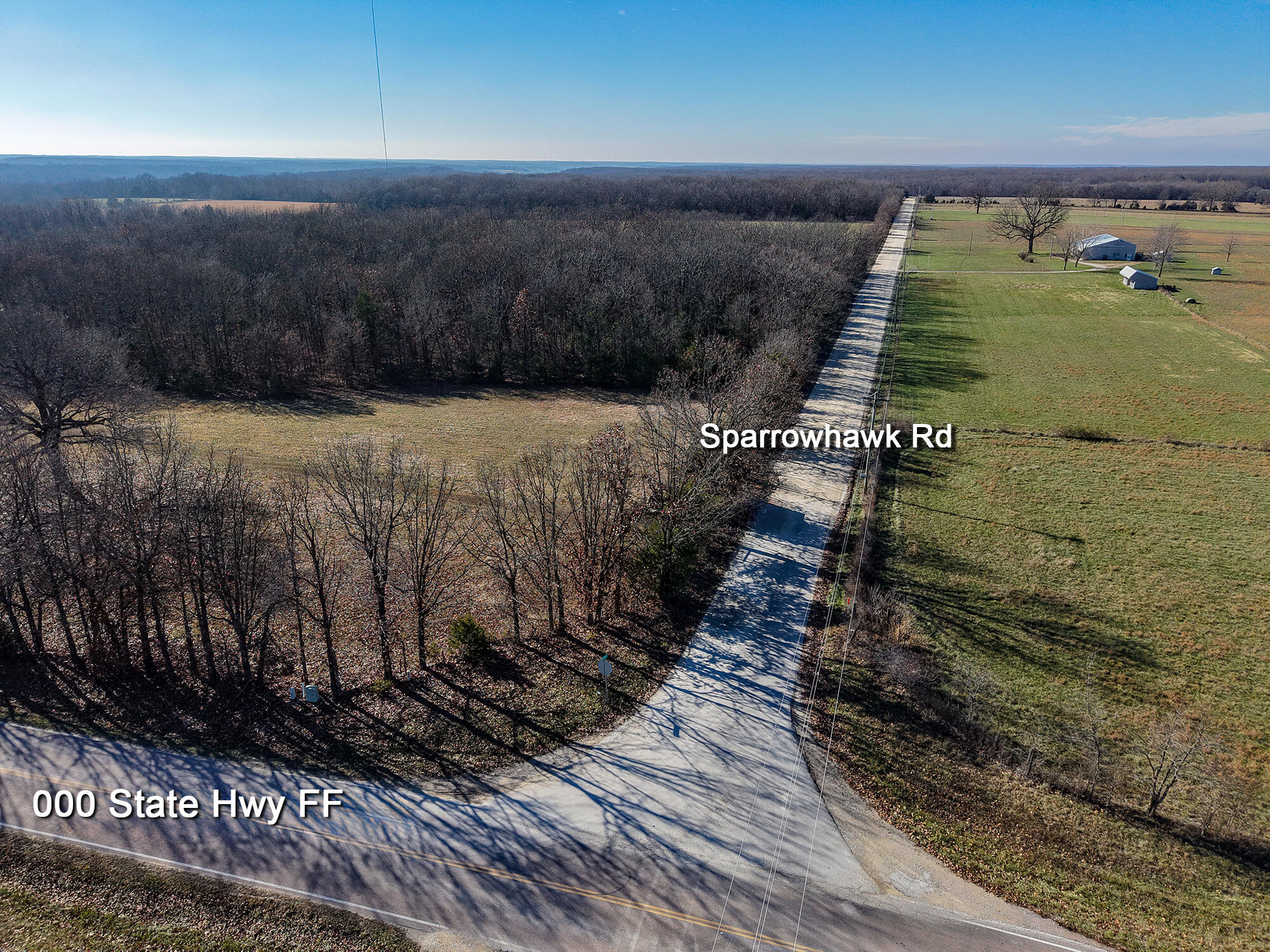 Photo 9 - Land for sale – 000  State Highway Ff   Fordland, MO