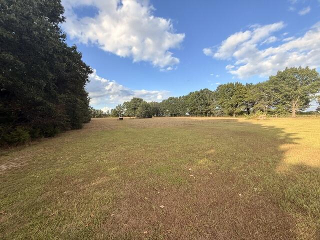 Photo 3 - Land for sale – 000  State Highway Ff   Fordland, MO