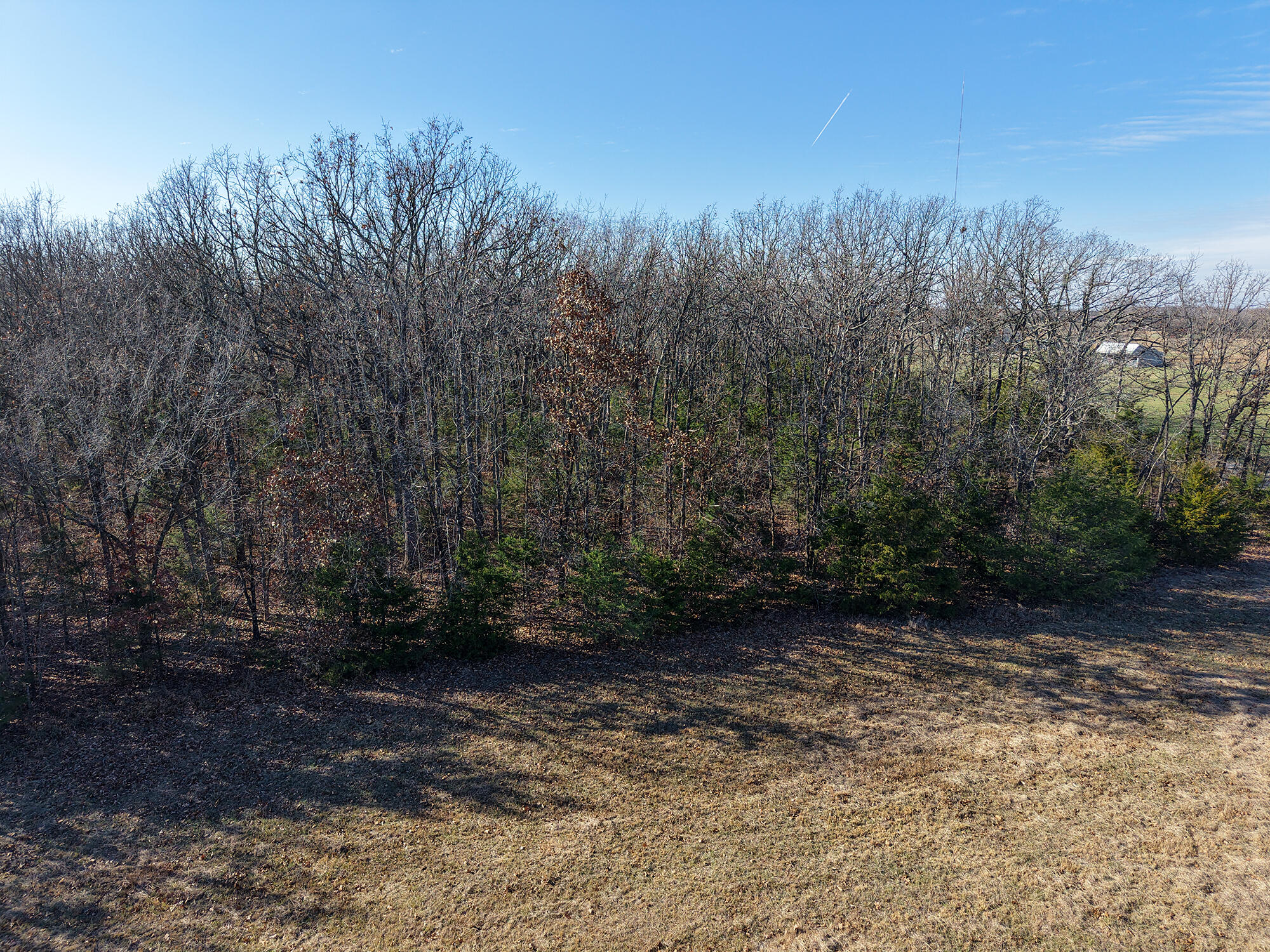 Photo 14 - Land for sale – 000  State Highway Ff   Fordland, MO