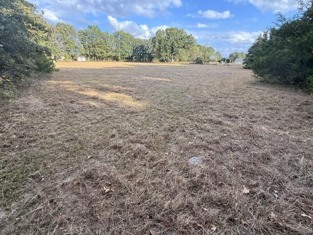 Photo 2 - Land for sale – 000  State Highway Ff   Fordland, MO