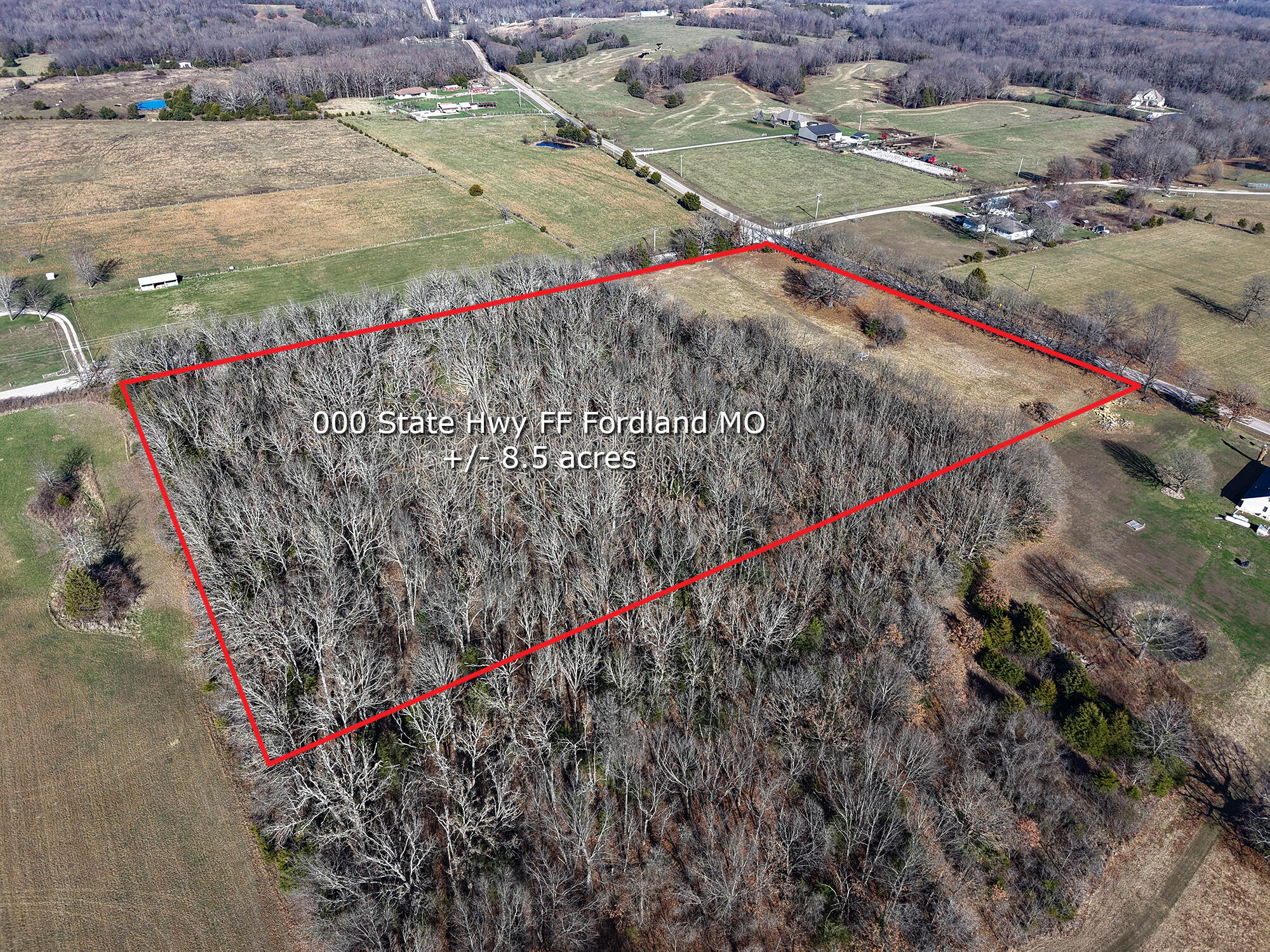 Photo 4 - Land for sale – 000  State Highway Ff   Fordland, MO