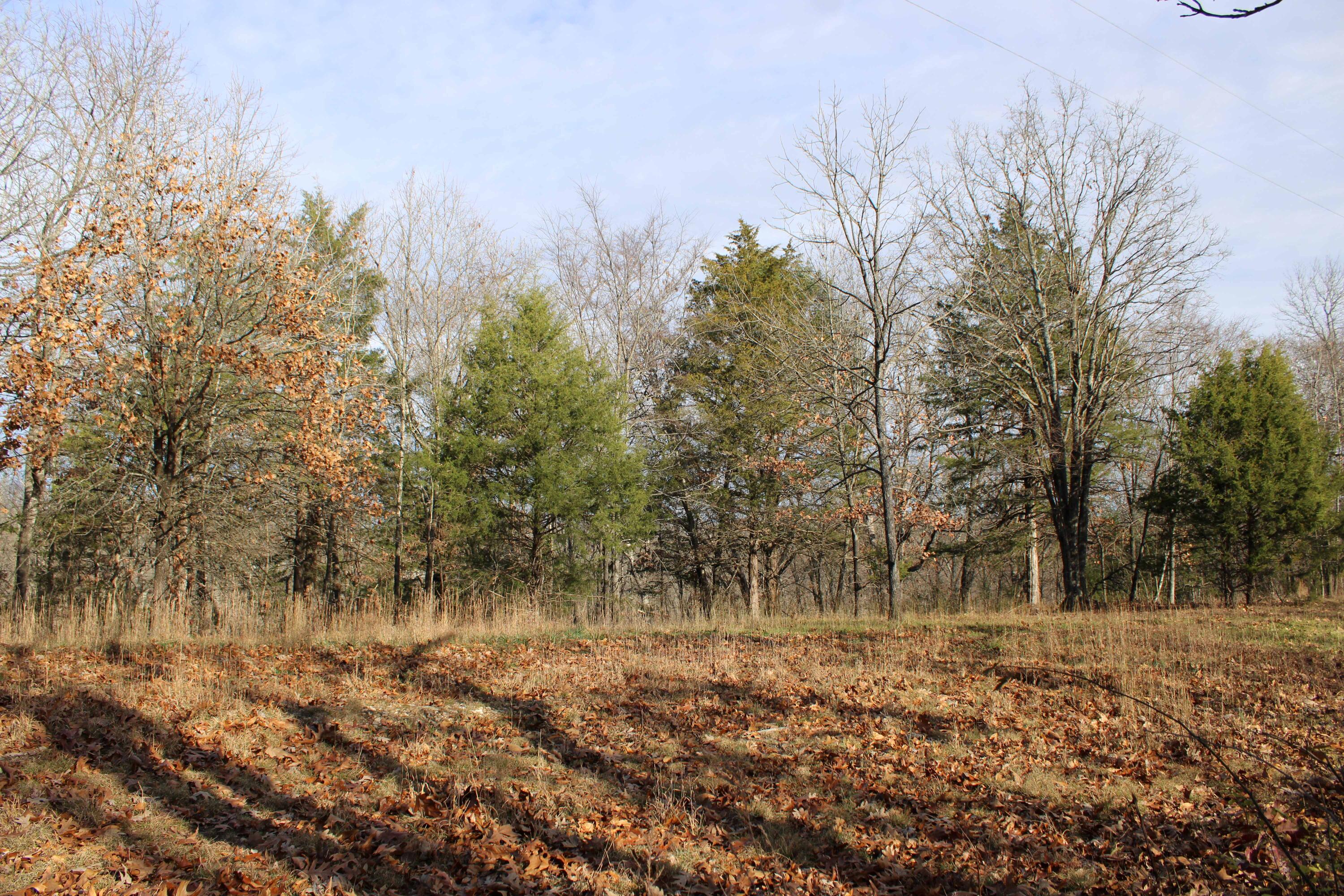 Photo 21 - Land for sale – 000  Farm Road 1150   Cassville, MO