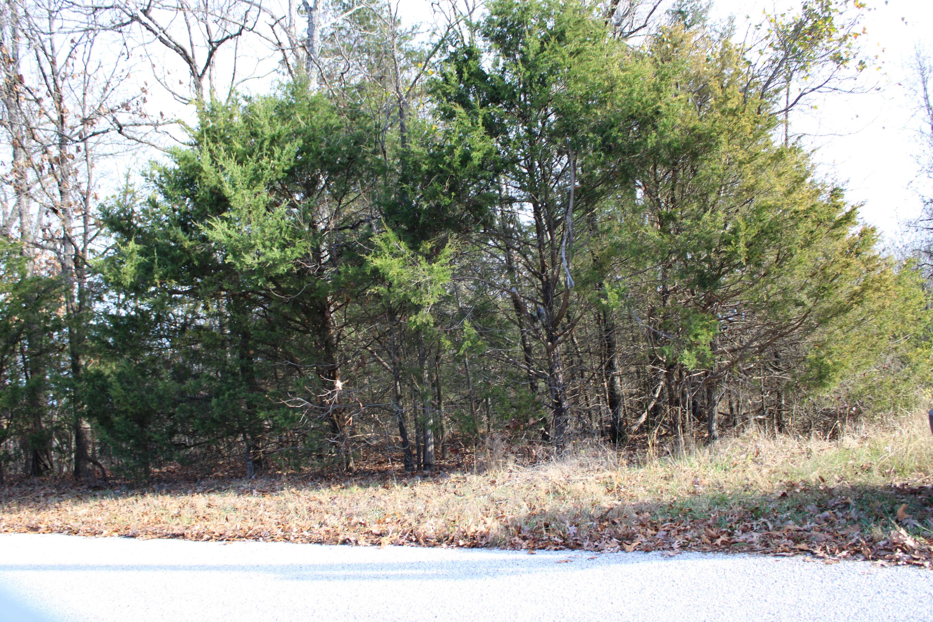 Photo 25 - Land for sale – 000  Farm Road 1150   Cassville, MO