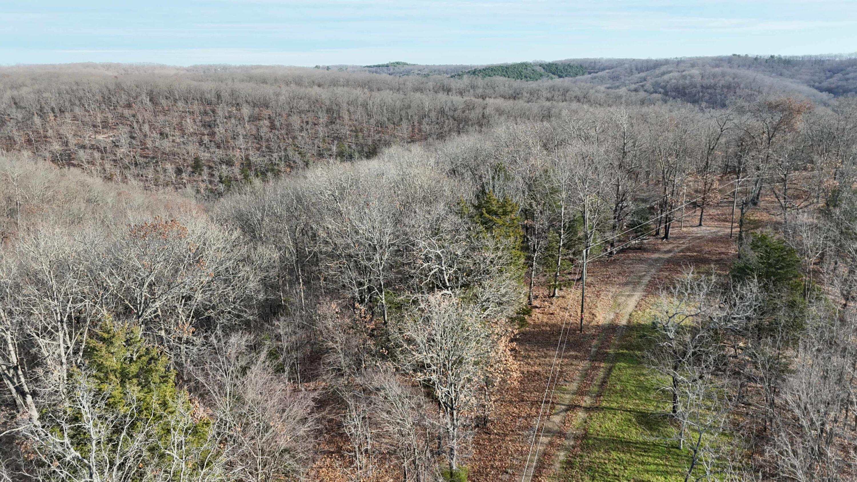 Photo 11 - Land for sale – 000  Farm Road 1150   Cassville, MO