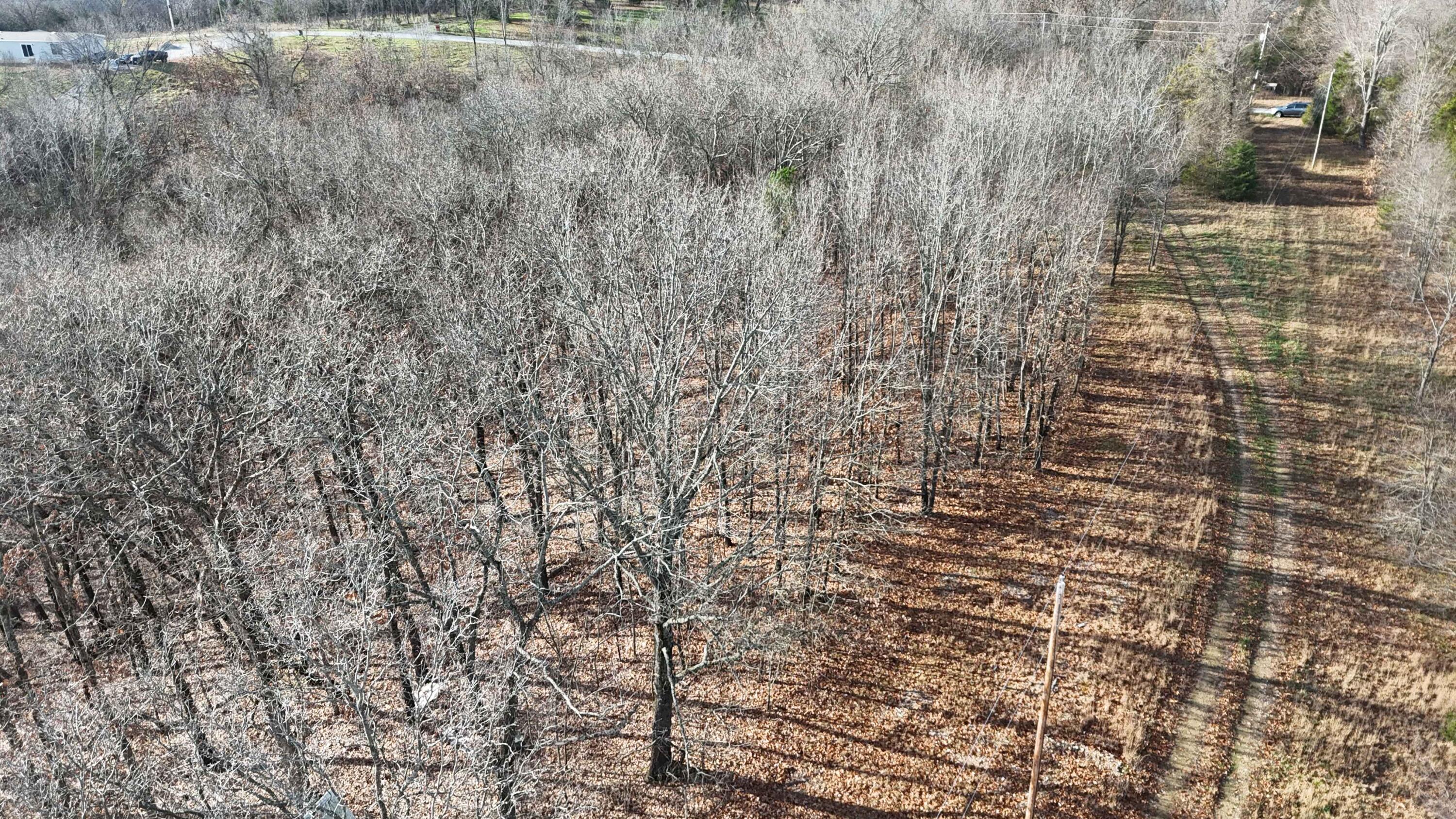 Photo 9 - Land for sale – 000  Farm Road 1150   Cassville, MO