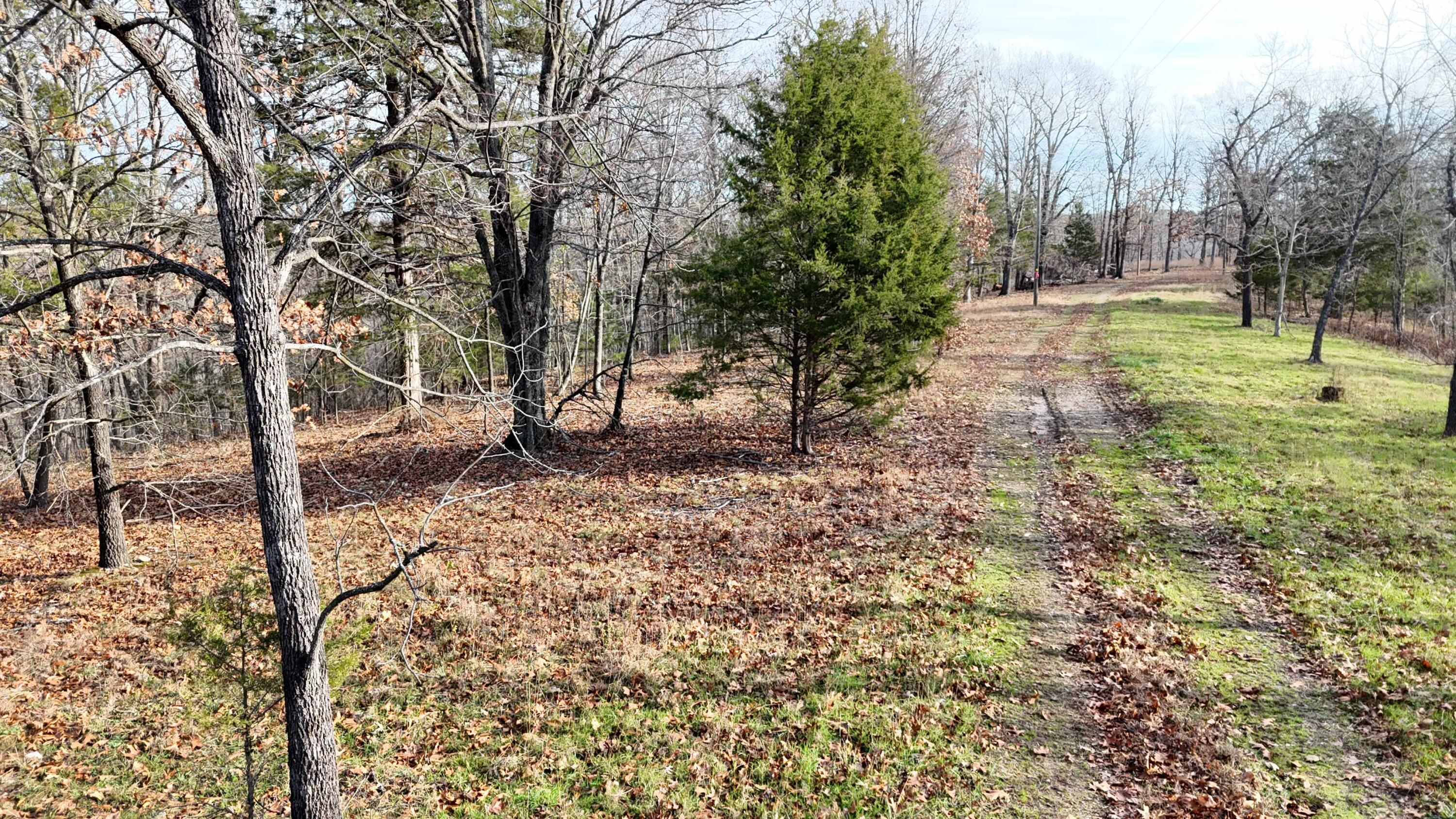 Photo 12 - Land for sale – 000  Farm Road 1150   Cassville, MO