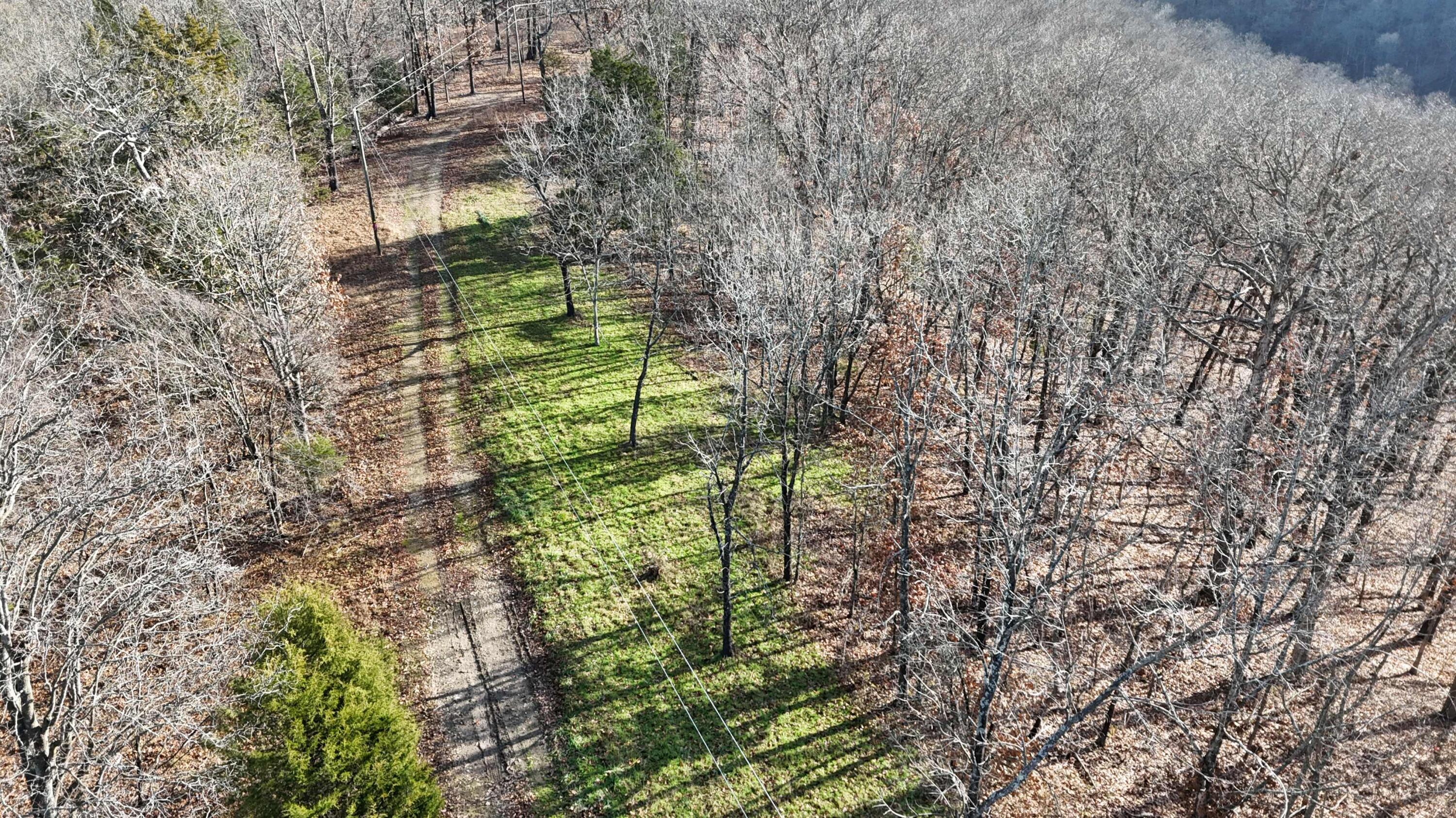 Photo 4 - Land for sale – 000  Farm Road 1150   Cassville, MO