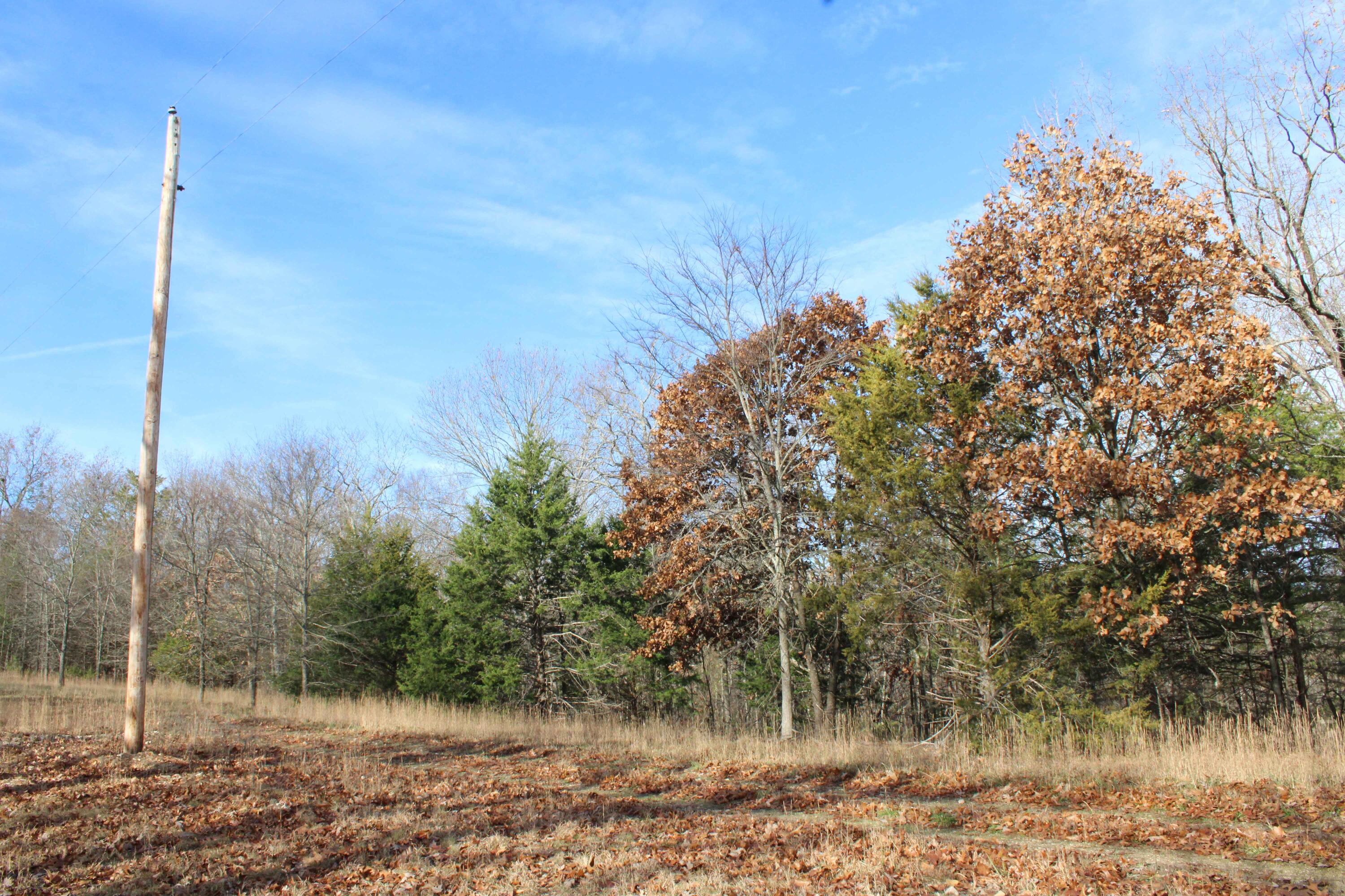 Photo 22 - Land for sale – 000  Farm Road 1150   Cassville, MO