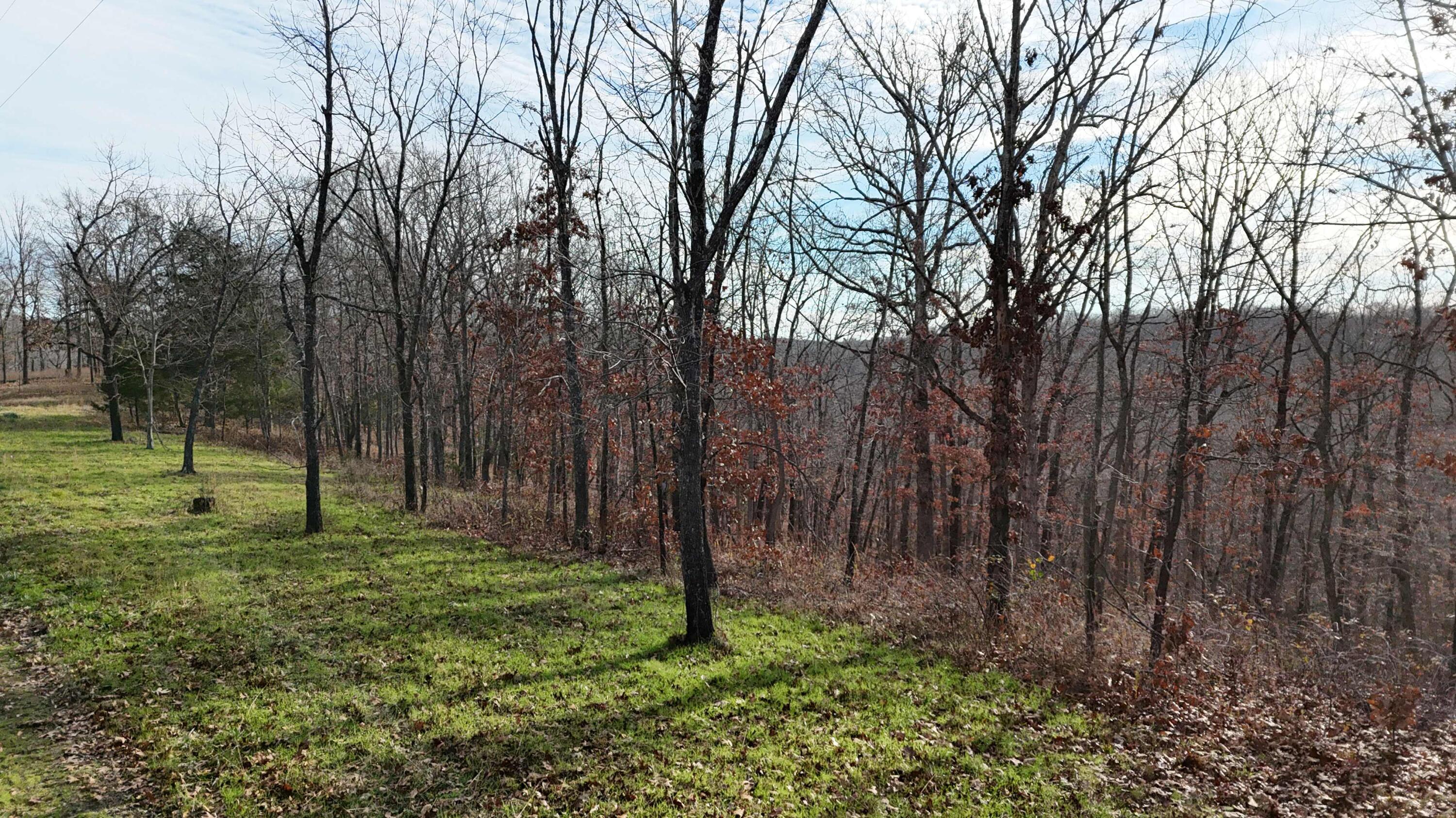 Photo 14 - Land for sale – 000  Farm Road 1150   Cassville, MO