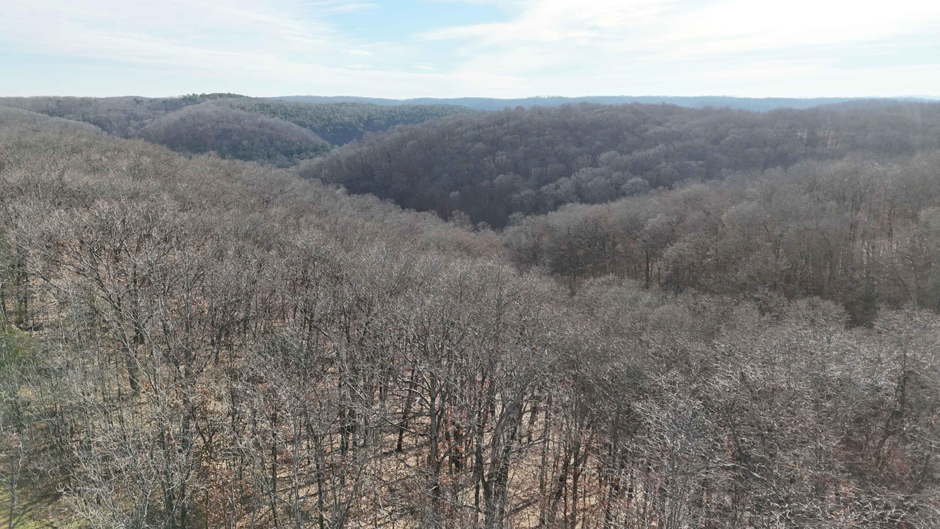 Photo 6 - Land for sale – 000  Farm Road 1150   Cassville, MO