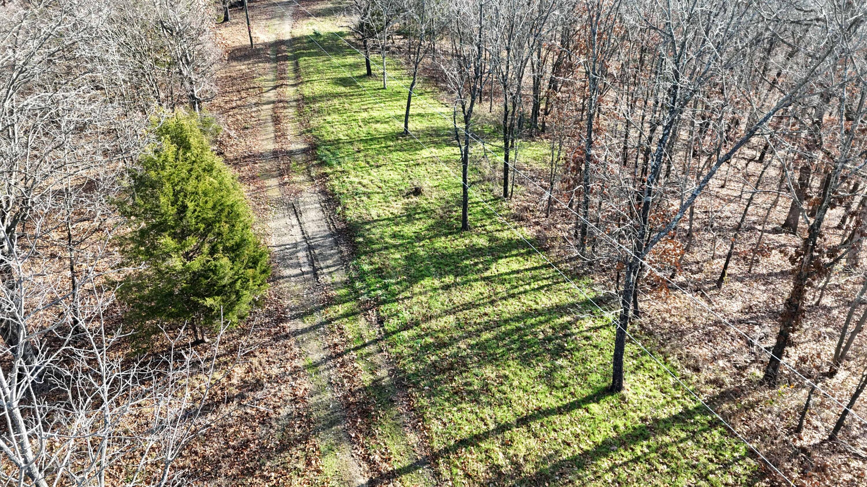 Photo 2 - Land for sale – 000  Farm Road 1150   Cassville, MO
