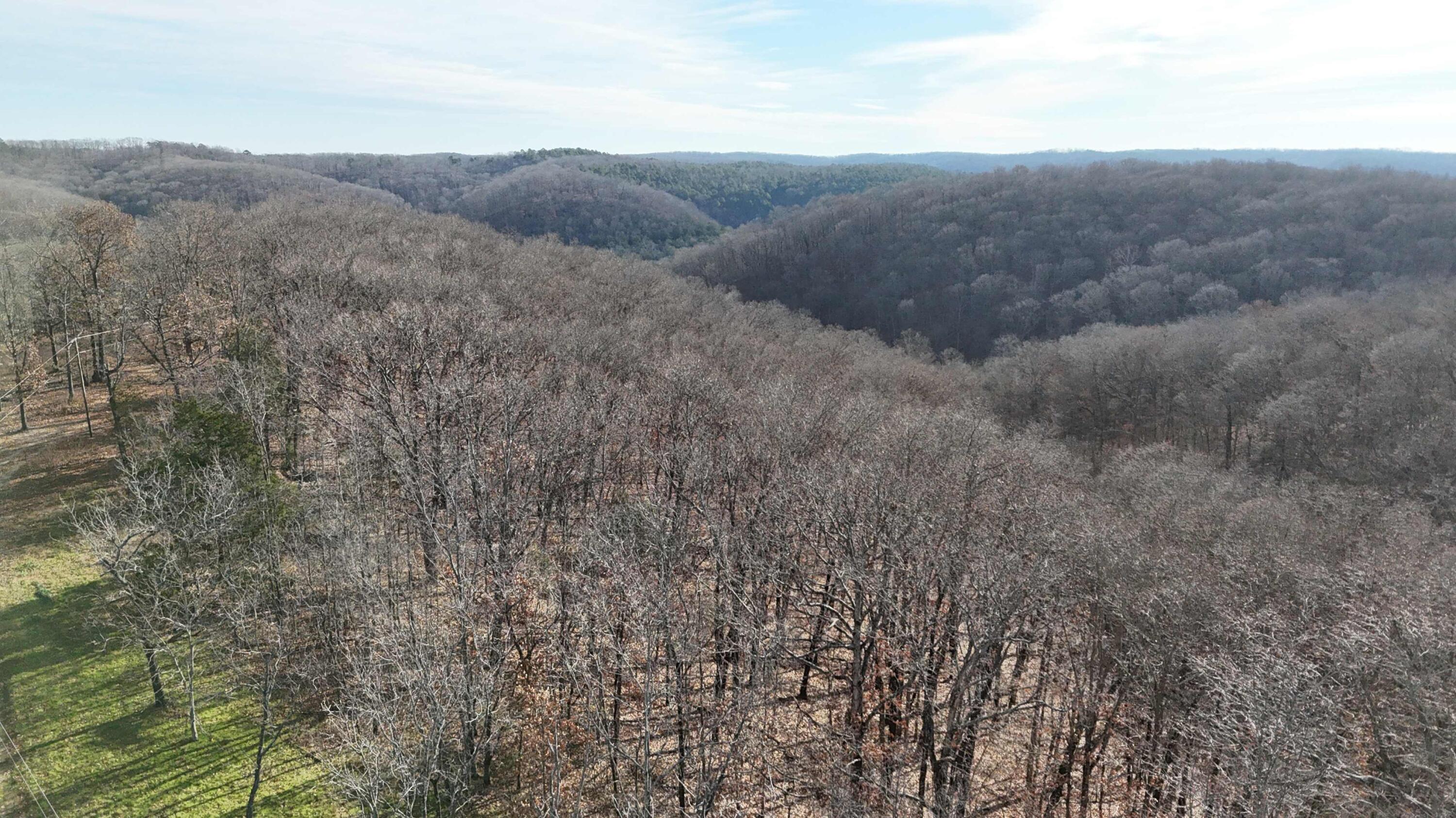 Photo 7 - Land for sale – 000  Farm Road 1150   Cassville, MO