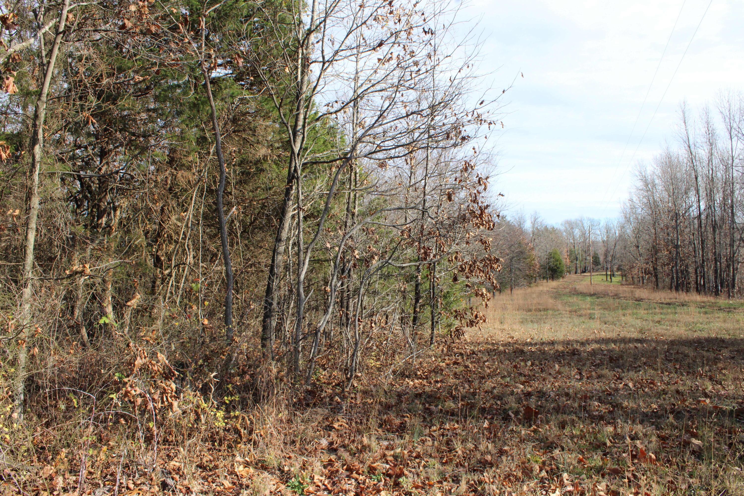 Photo 24 - Land for sale – 000  Farm Road 1150   Cassville, MO