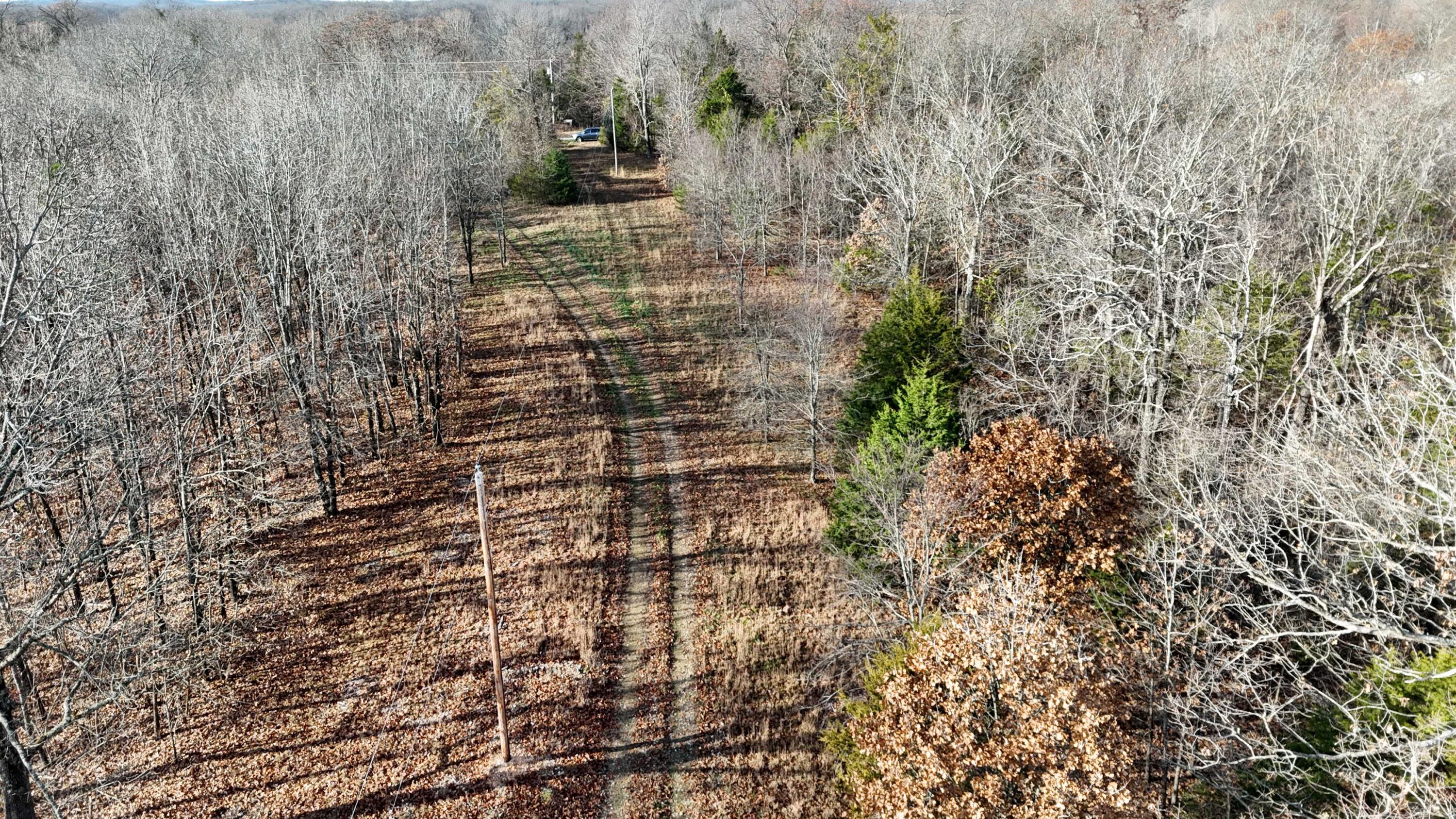 Photo 3 - Land for sale – 000  Farm Road 1150   Cassville, MO