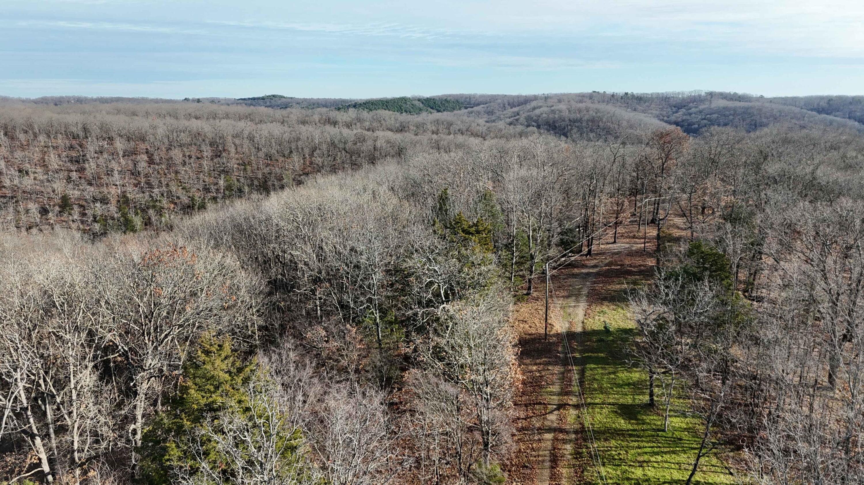 Photo 8 - Land for sale – 000  Farm Road 1150   Cassville, MO