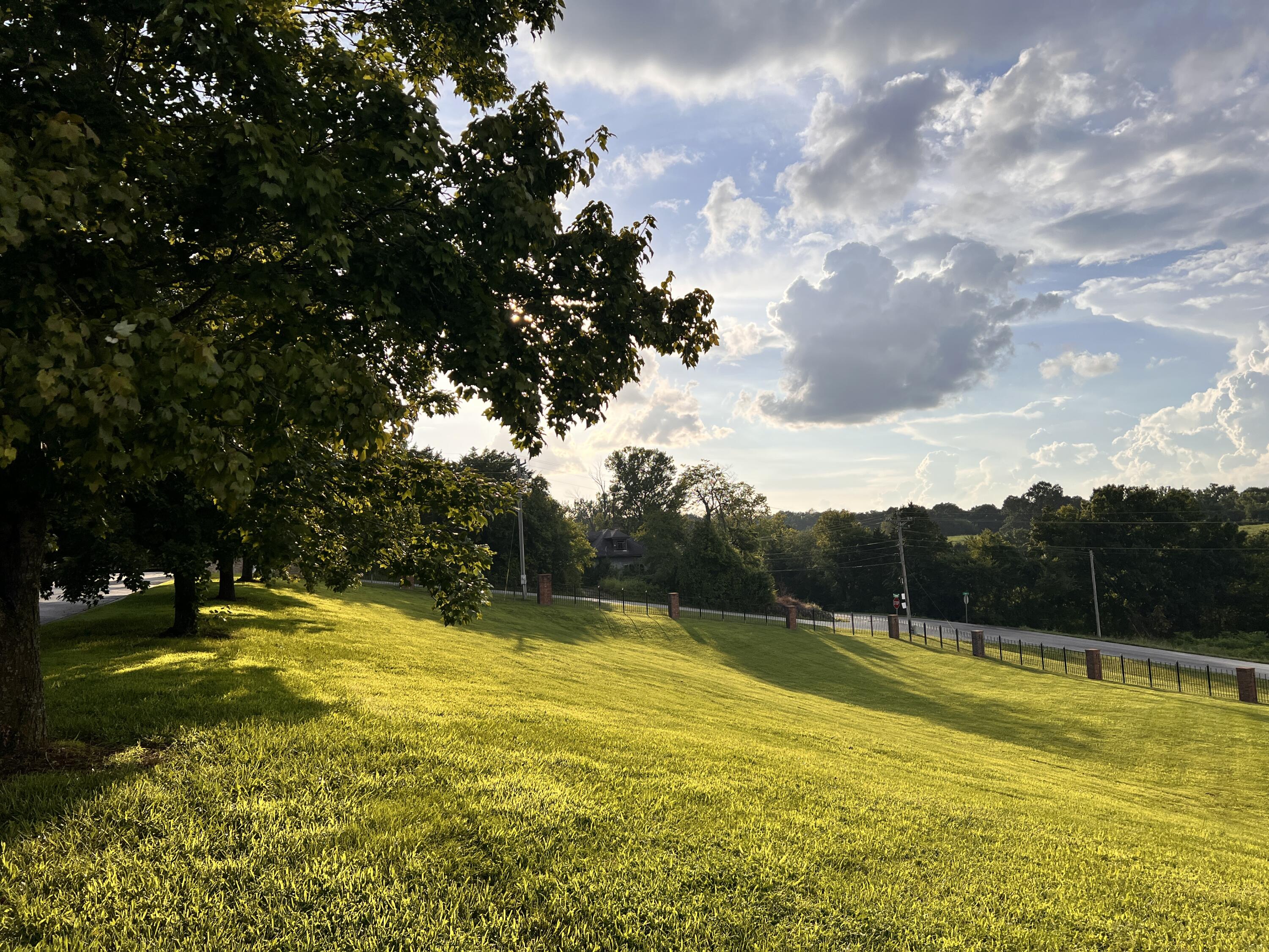 Land for sale – Lot 63  Tuscany Hills   Nixa, MO