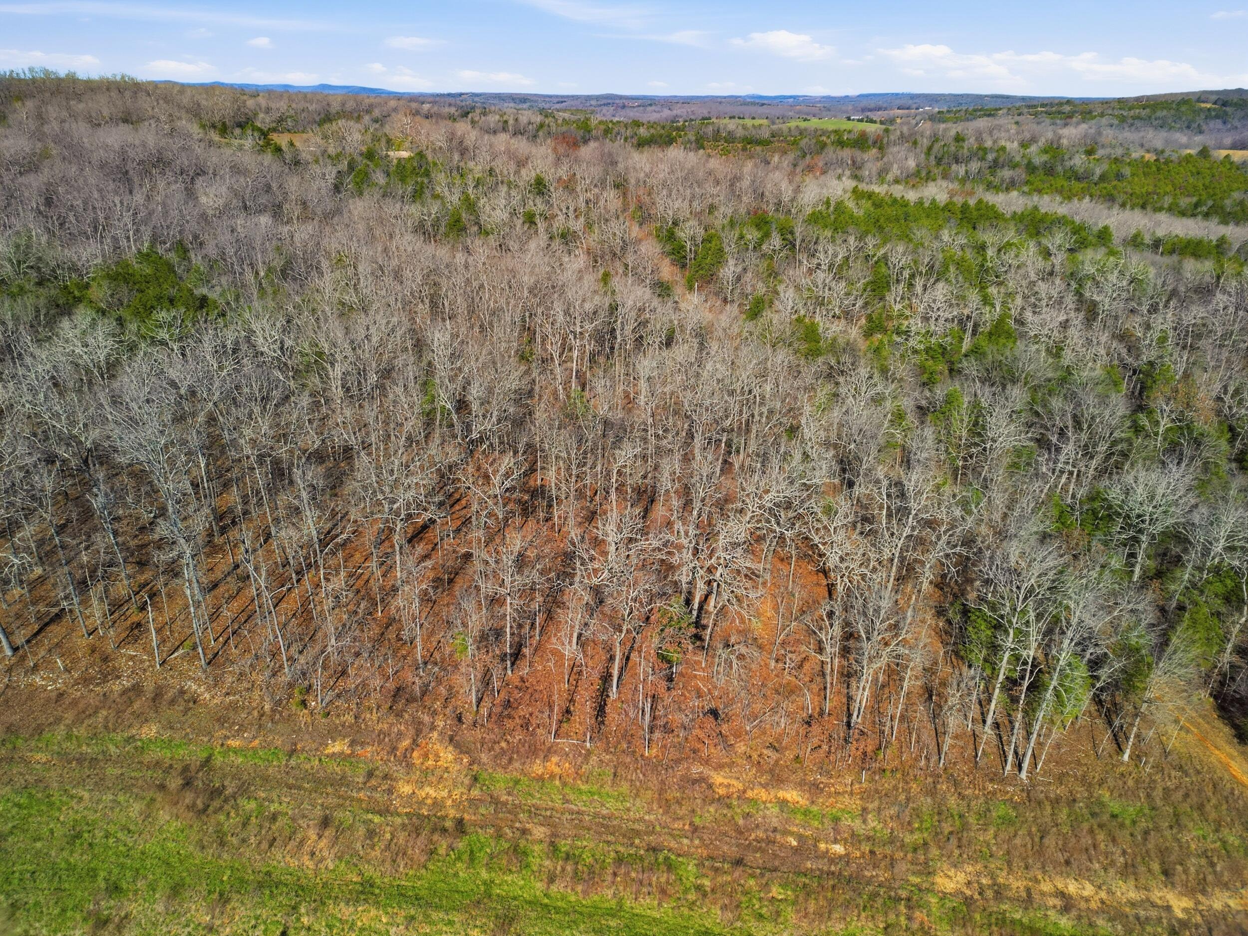 Photo 12 - Land for sale – 000  160 Highway   Tecumseh, MO