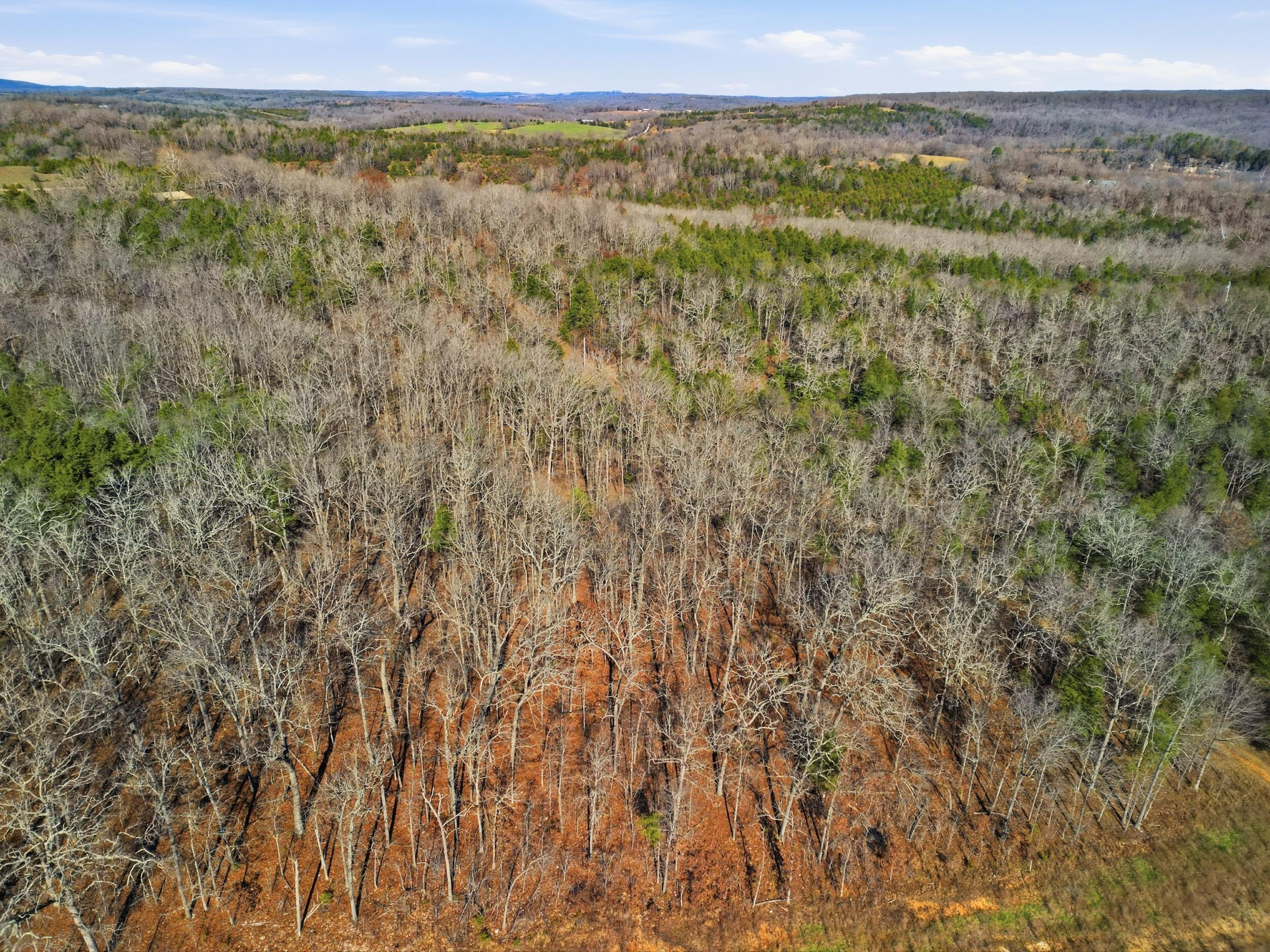 Photo 11 - Land for sale – 000  160 Highway   Tecumseh, MO