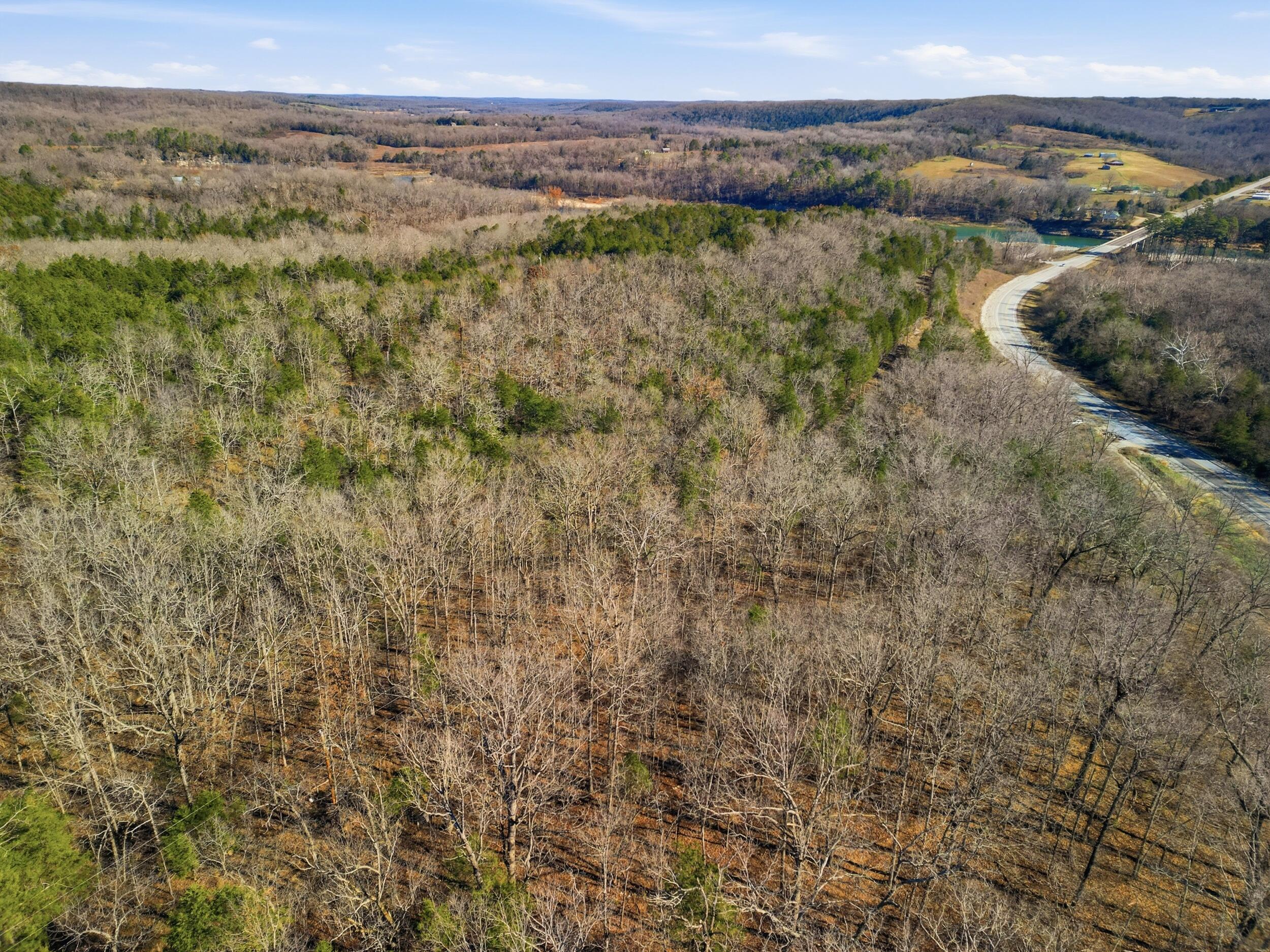 Photo 10 - Land for sale – 000  160 Highway   Tecumseh, MO