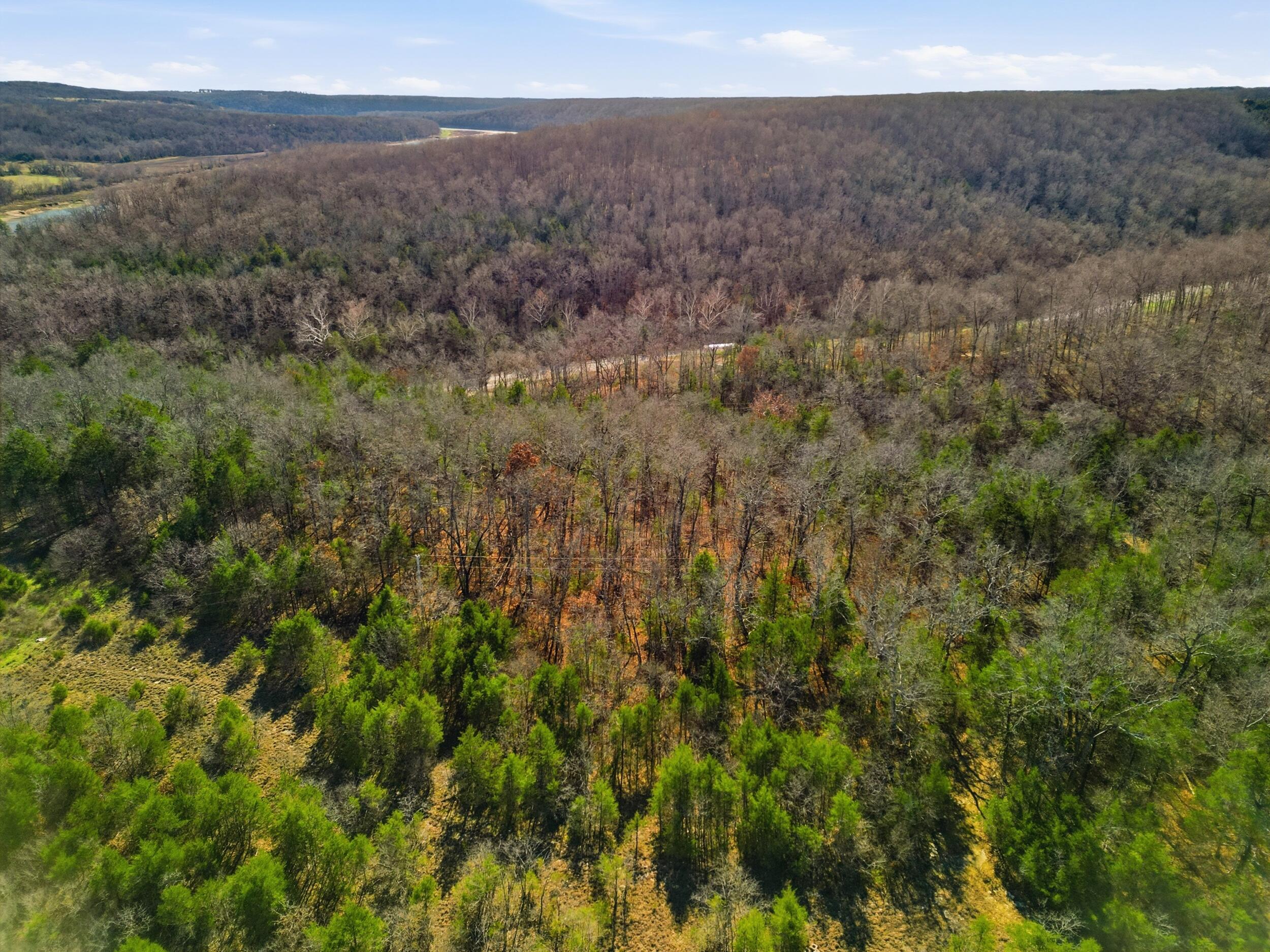 Photo 6 - Land for sale – 000  160 Highway   Tecumseh, MO