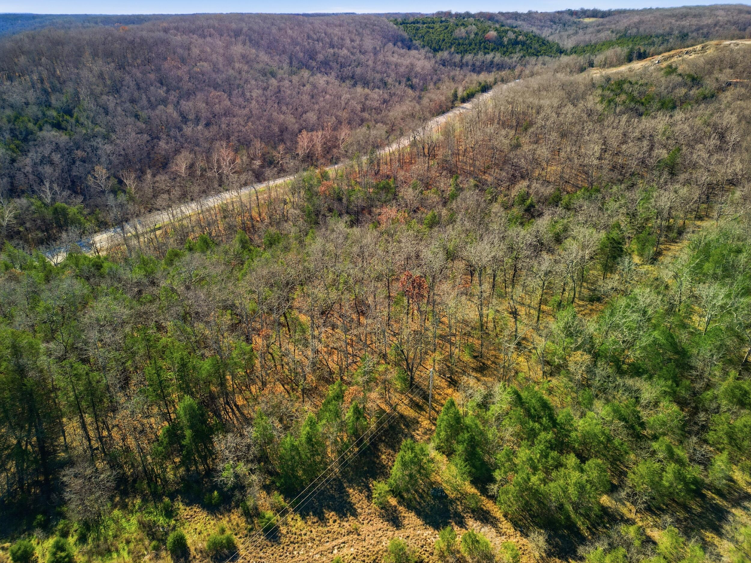 Photo 5 - Land for sale – 000  160 Highway   Tecumseh, MO