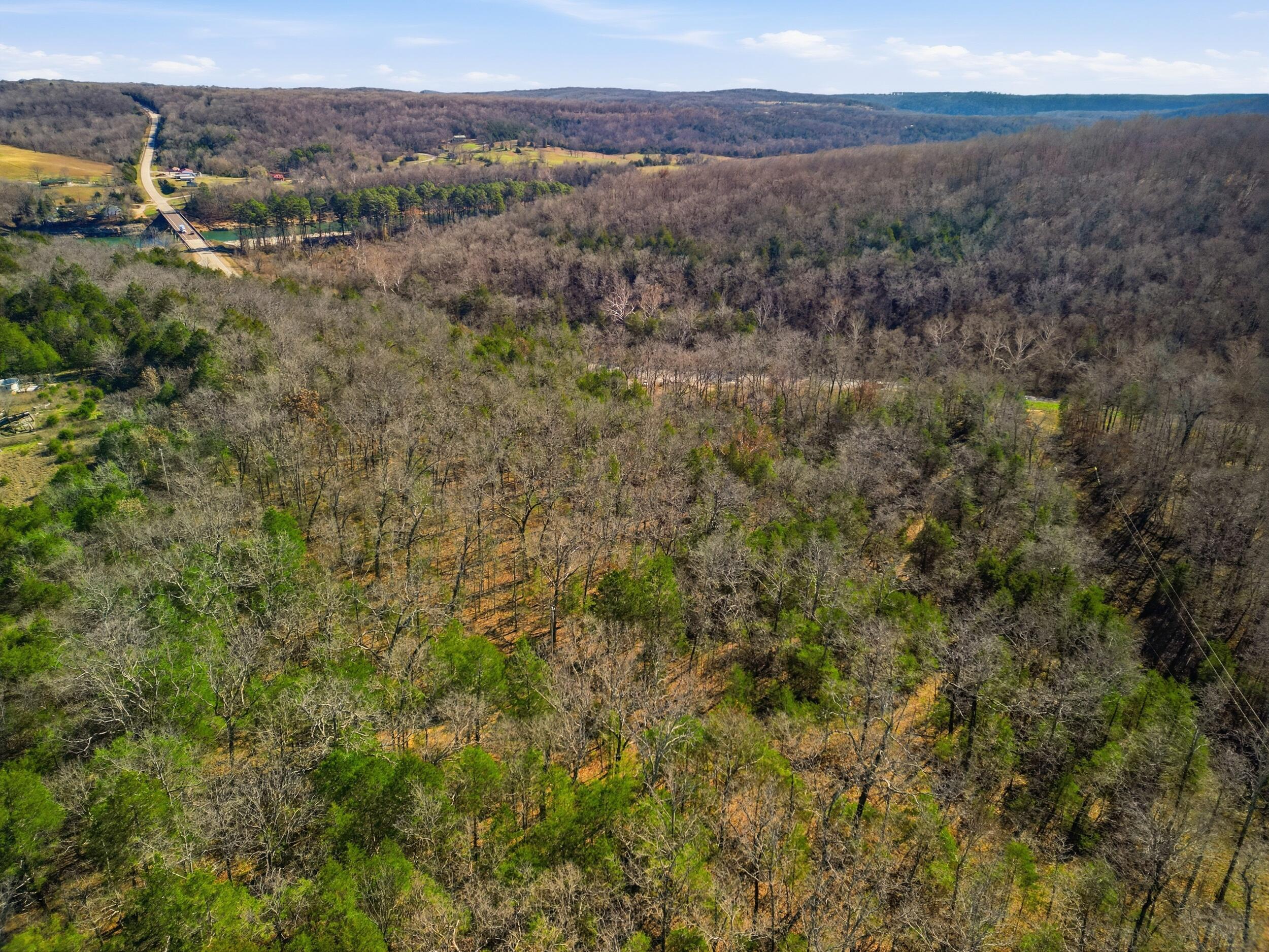 Photo 8 - Land for sale – 000  160 Highway   Tecumseh, MO