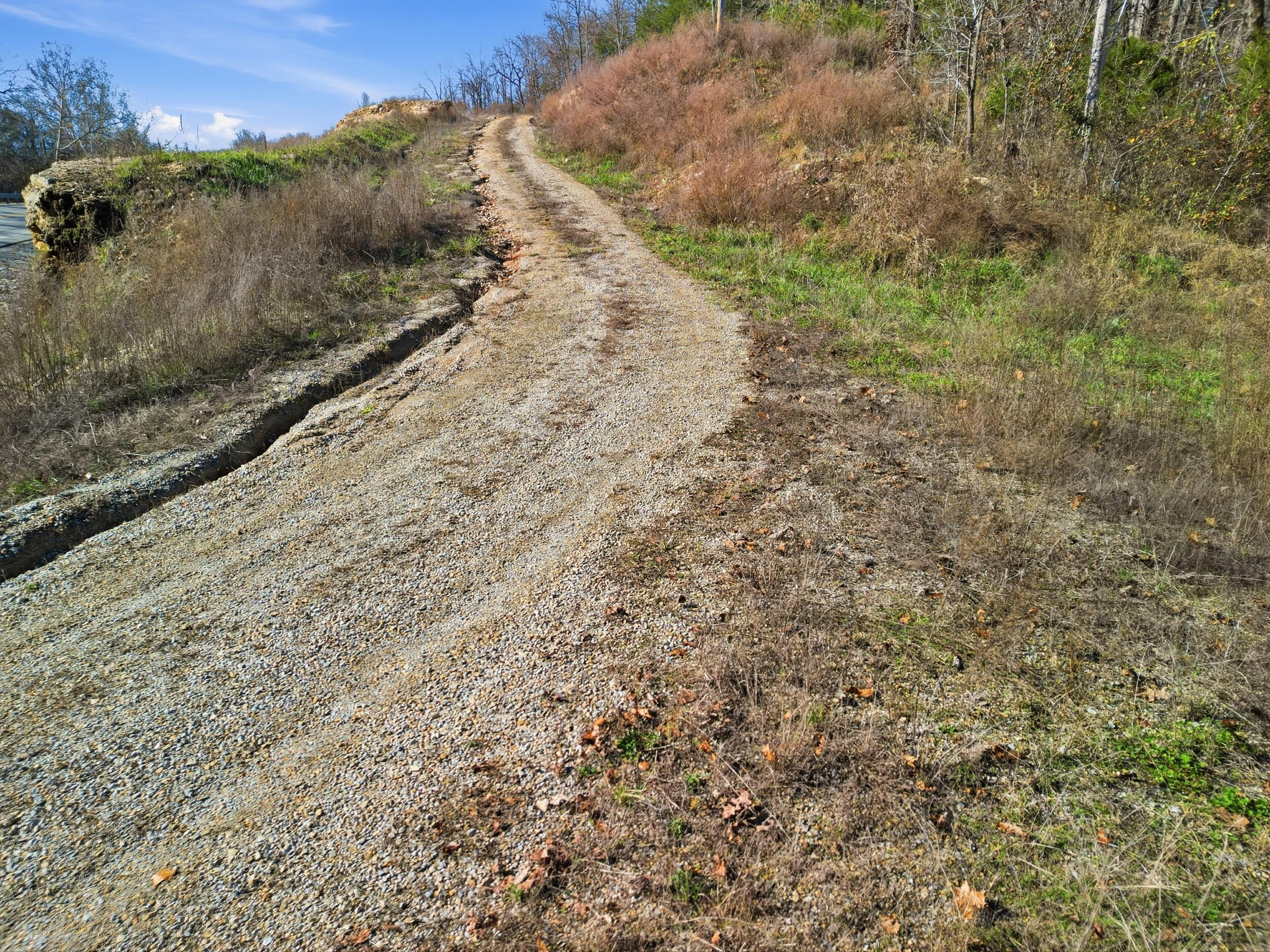 Photo 3 - Land for sale – 000  160 Highway   Tecumseh, MO