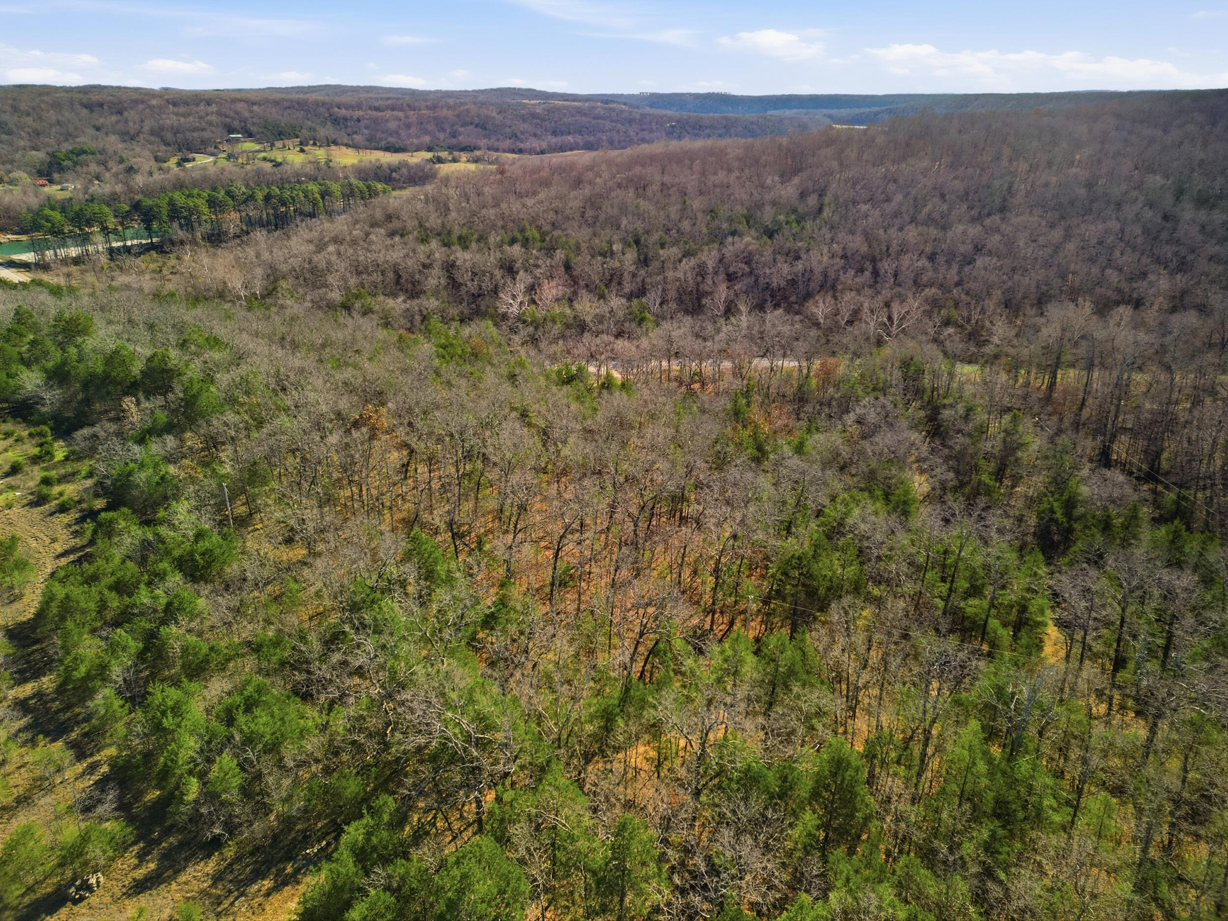 Photo 7 - Land for sale – 000  160 Highway   Tecumseh, MO
